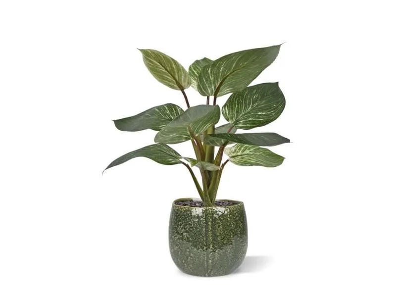 Botanic-Haus Kunstpflanze Philodendron Birkin 30 cm Botanic-Haus Kunstpflanze Philodendron Birkin 30 cm