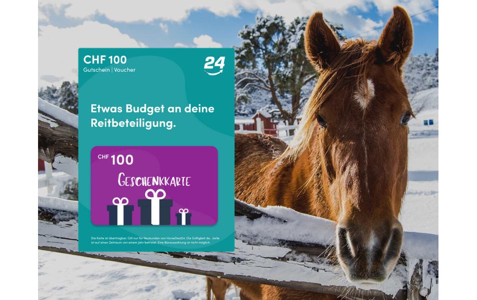 horsedeal24 Horsedeal.ch Gutschein CHF 100.–