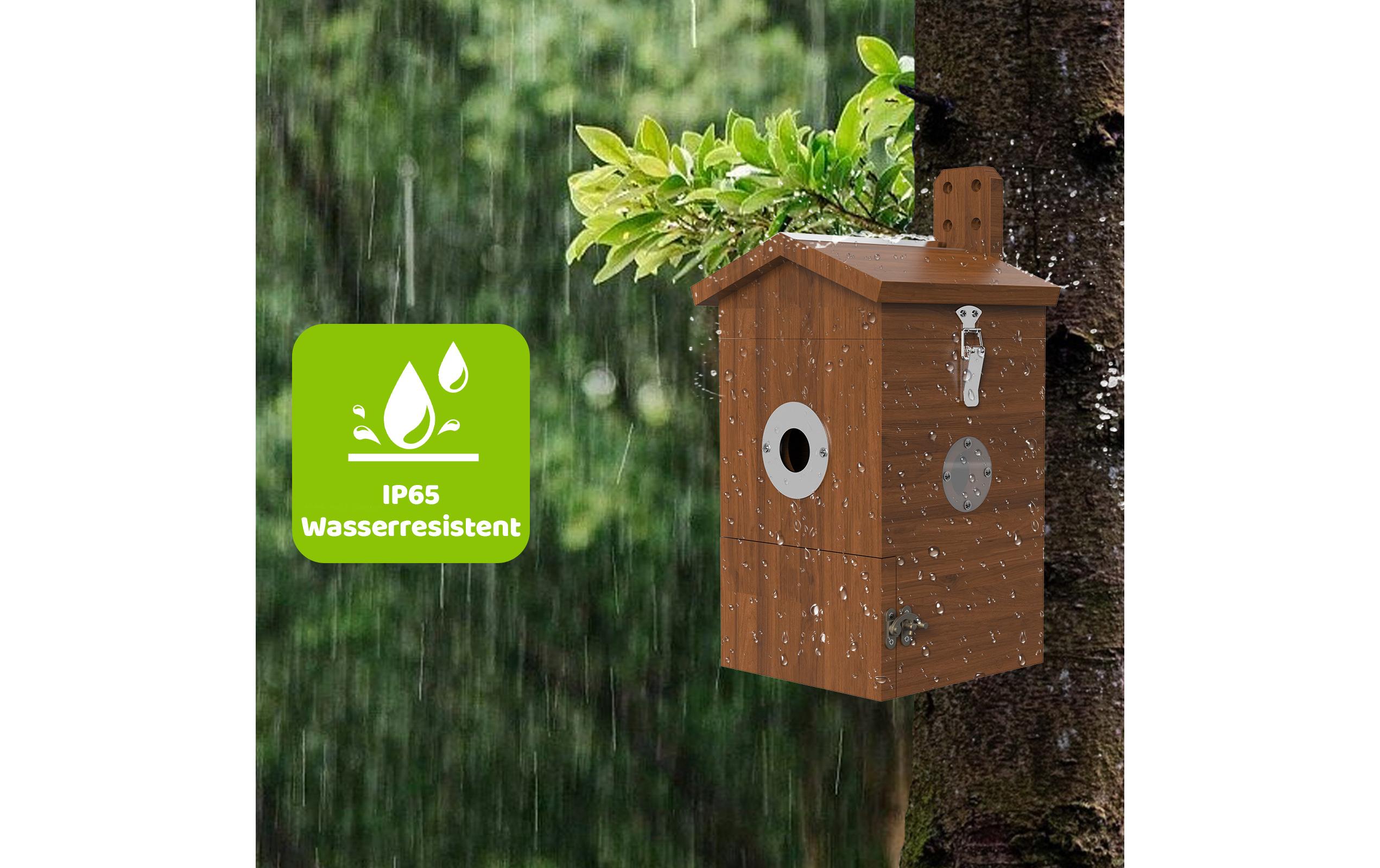 Sanilu Vogel Nistkasten mit Kamera und Solarpanel