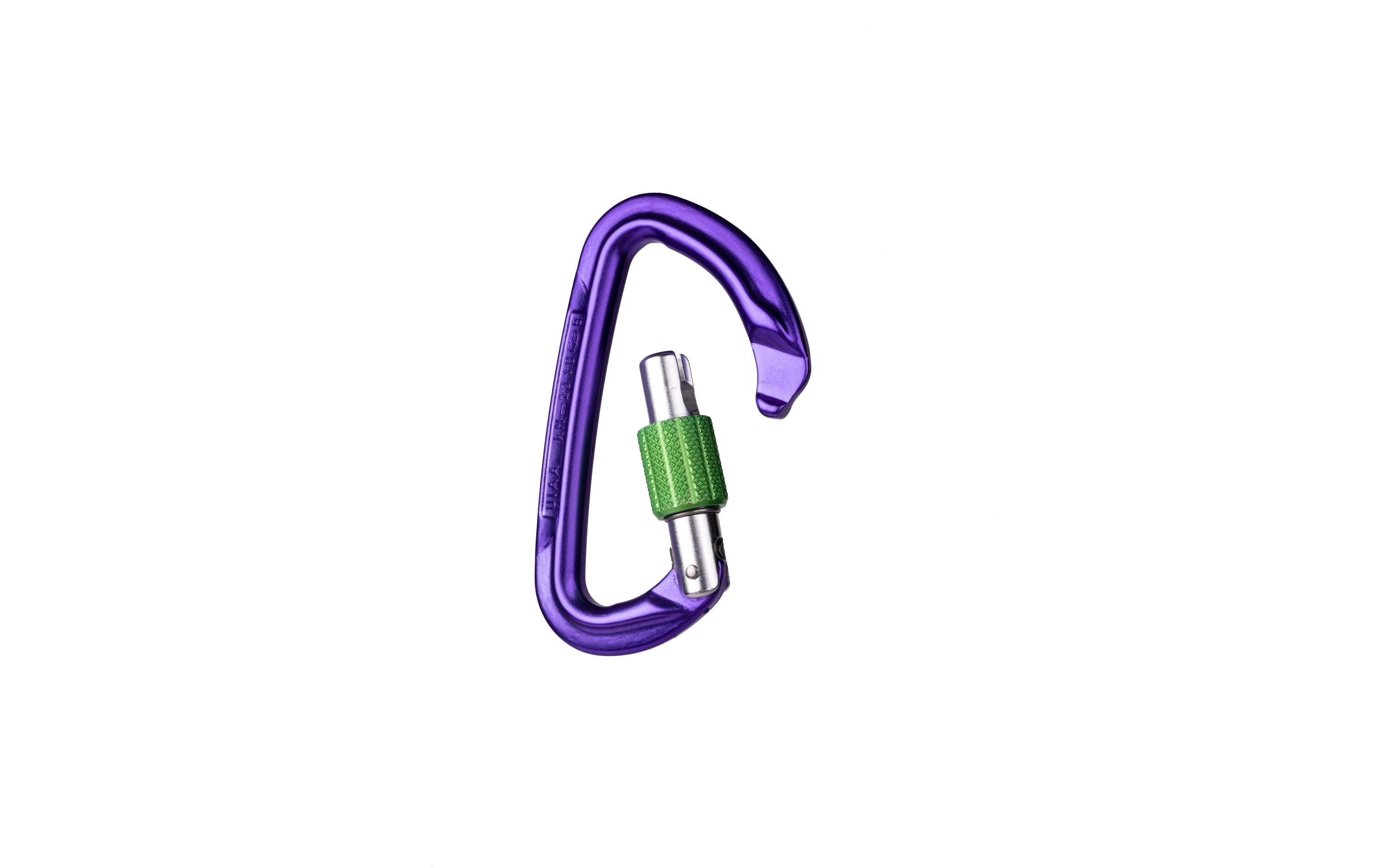 Wild Country Carabiner Session Screw Gate Lila