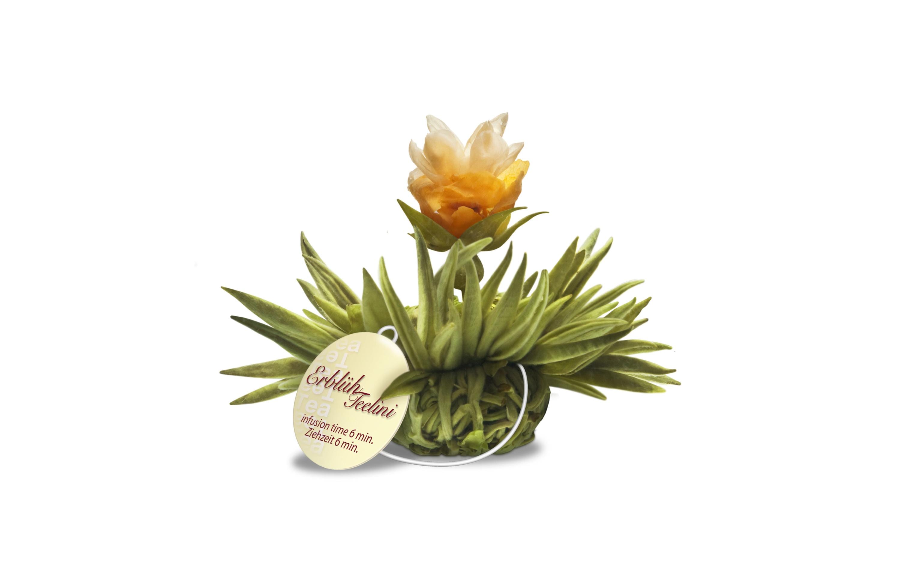 Creano Erblühtee Erblühteelini Weisstee 8er Set