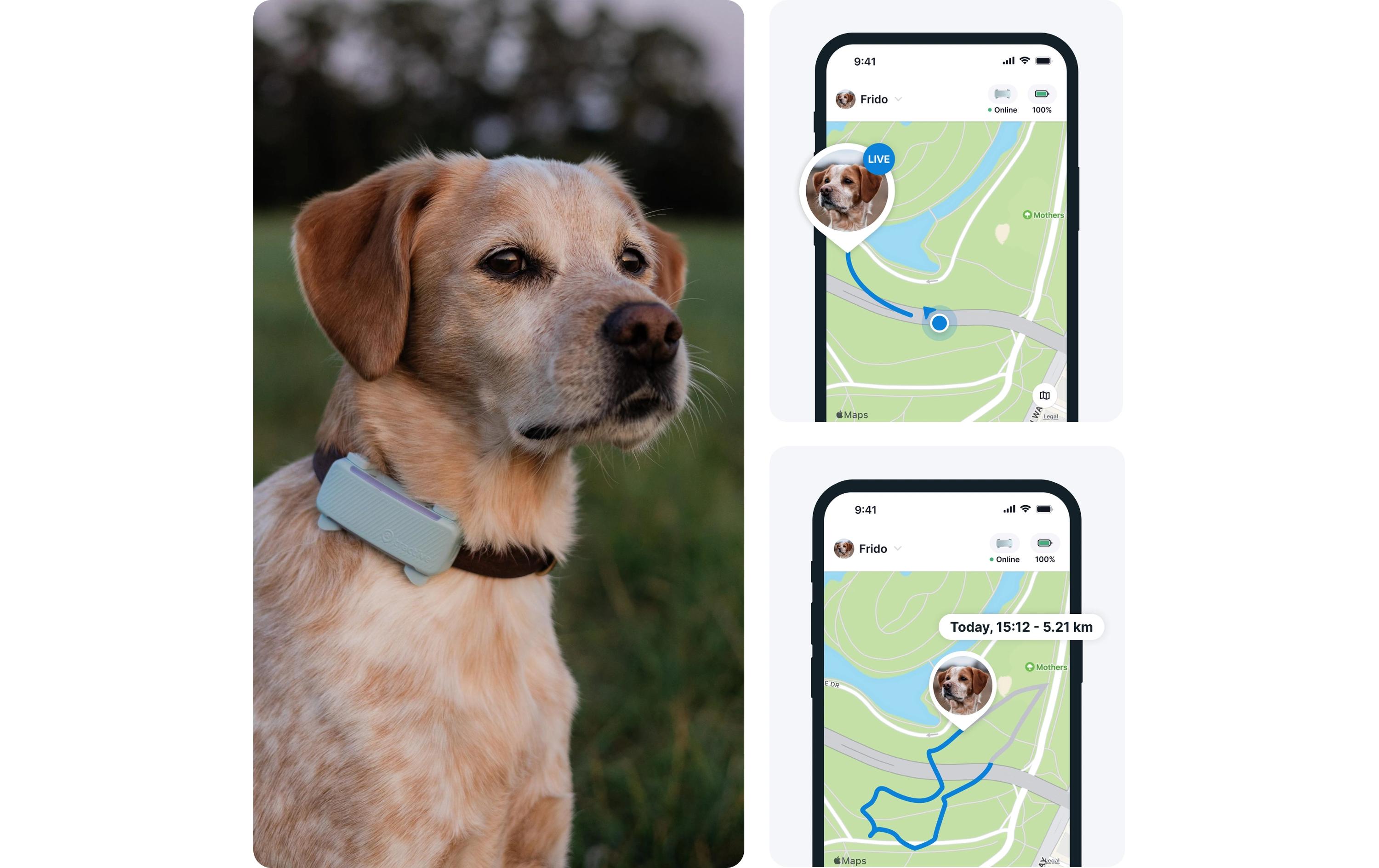 tractive GPS-Tracker DOG 6 Mint