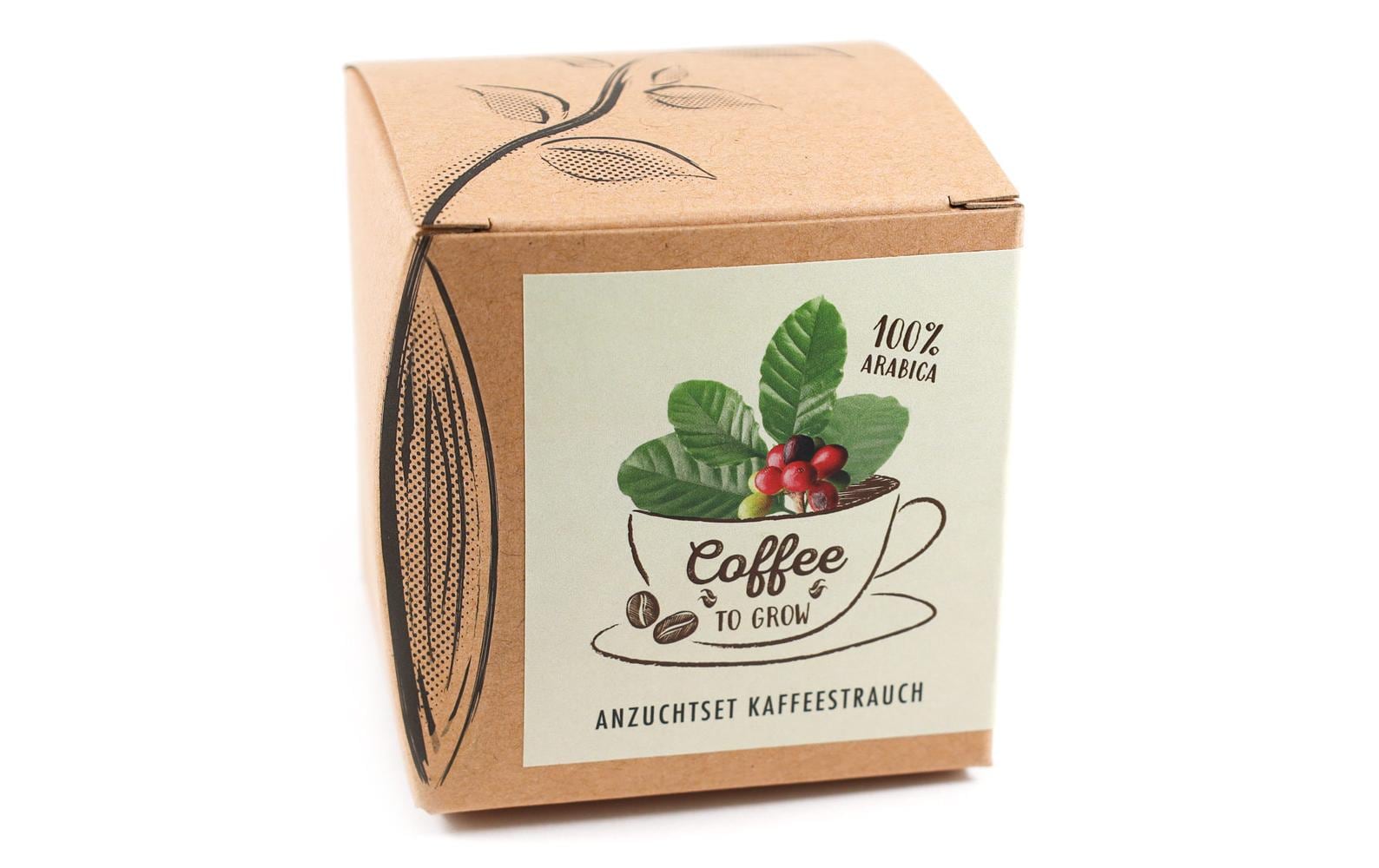 Naturkraftwerk Anzuchtset Coffee-to-grow mit Kaffeesaatgut