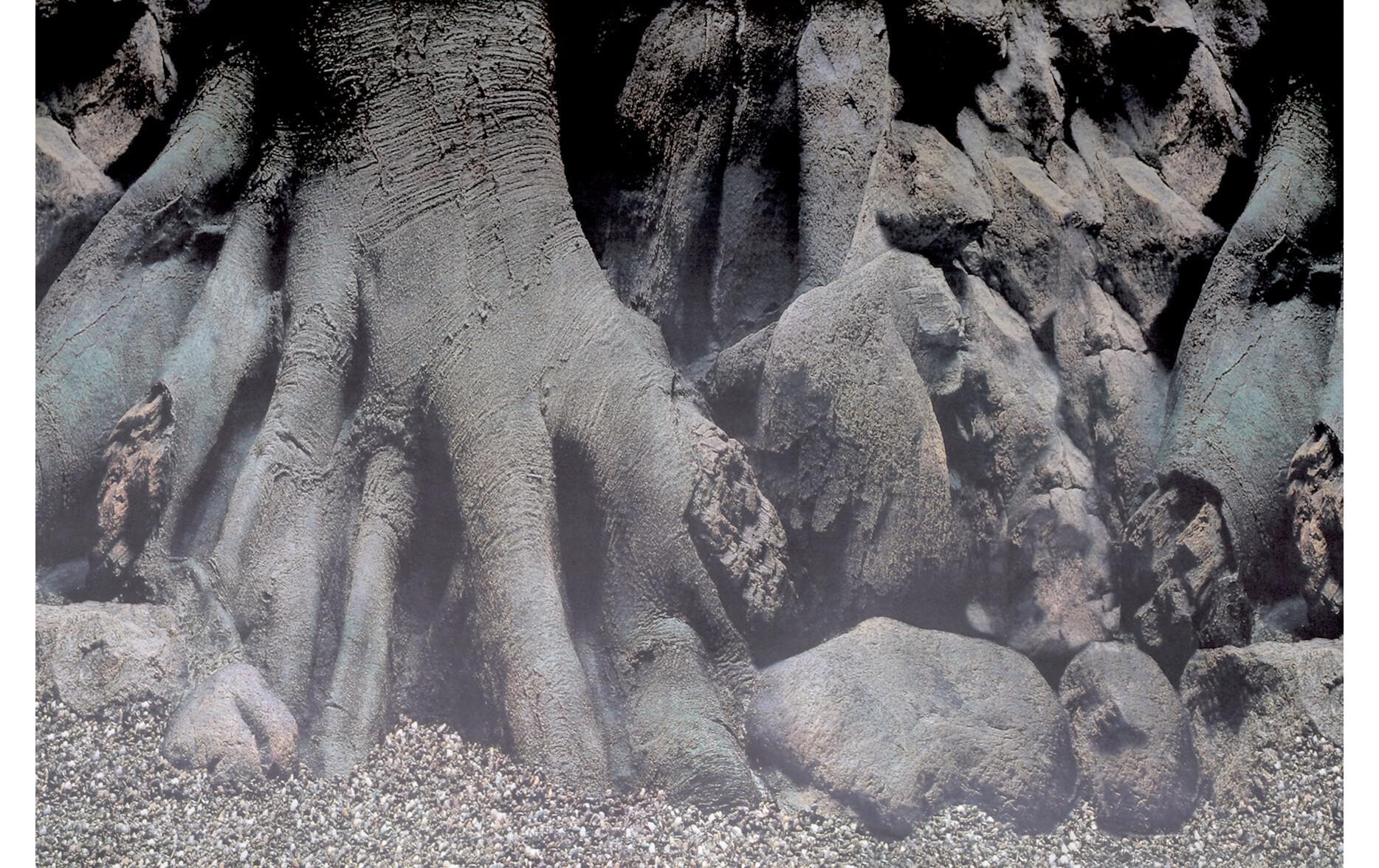 SuperFish Rückwandfolie Deko Poster D5 120 x 61 cm SuperFish Rückwandfolie Deko Poster D5 120 x 61 cm