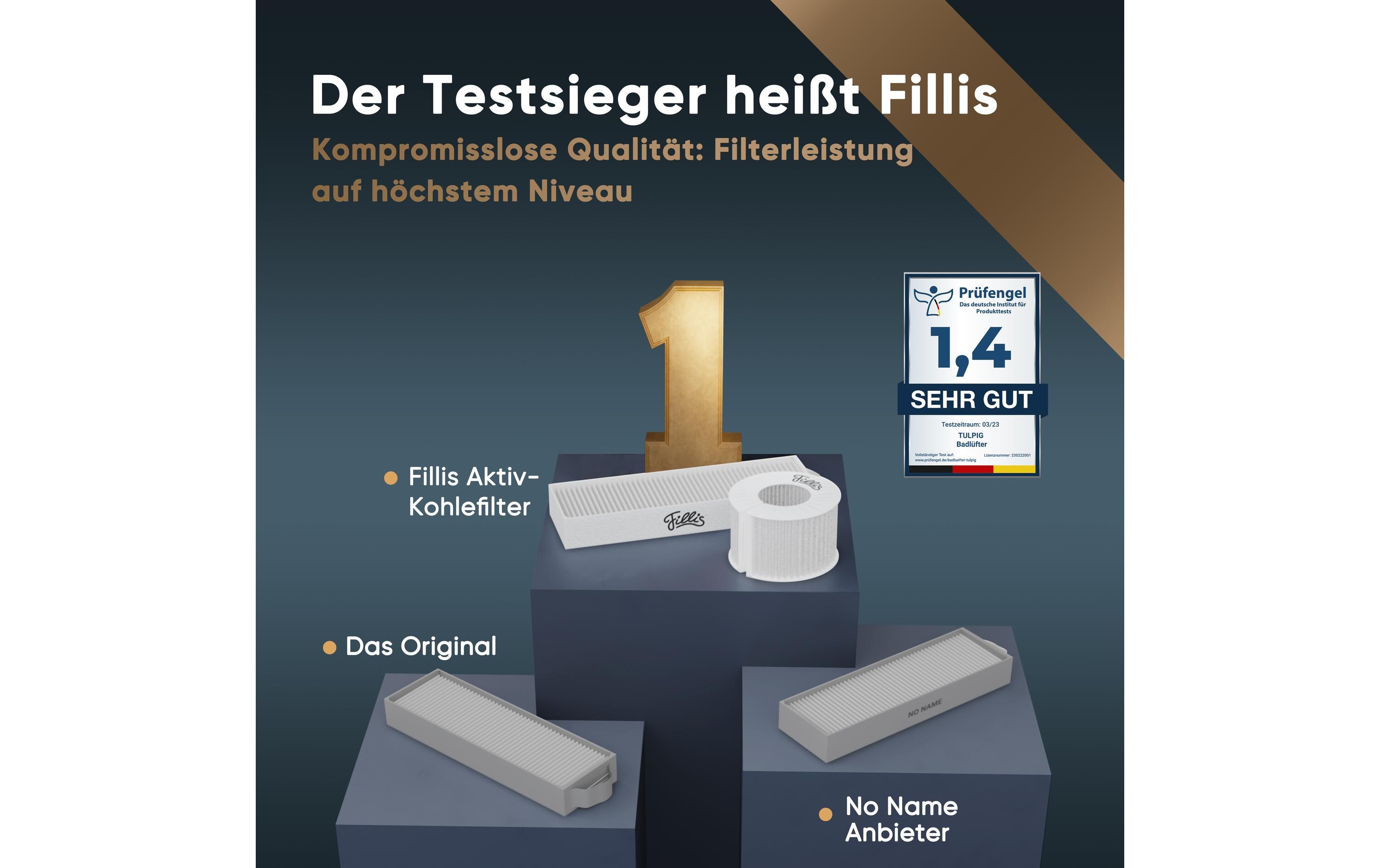 Pillis Aktivkohlefilter für Bora Pure Puru & X Pure Puxu, 1 Stück