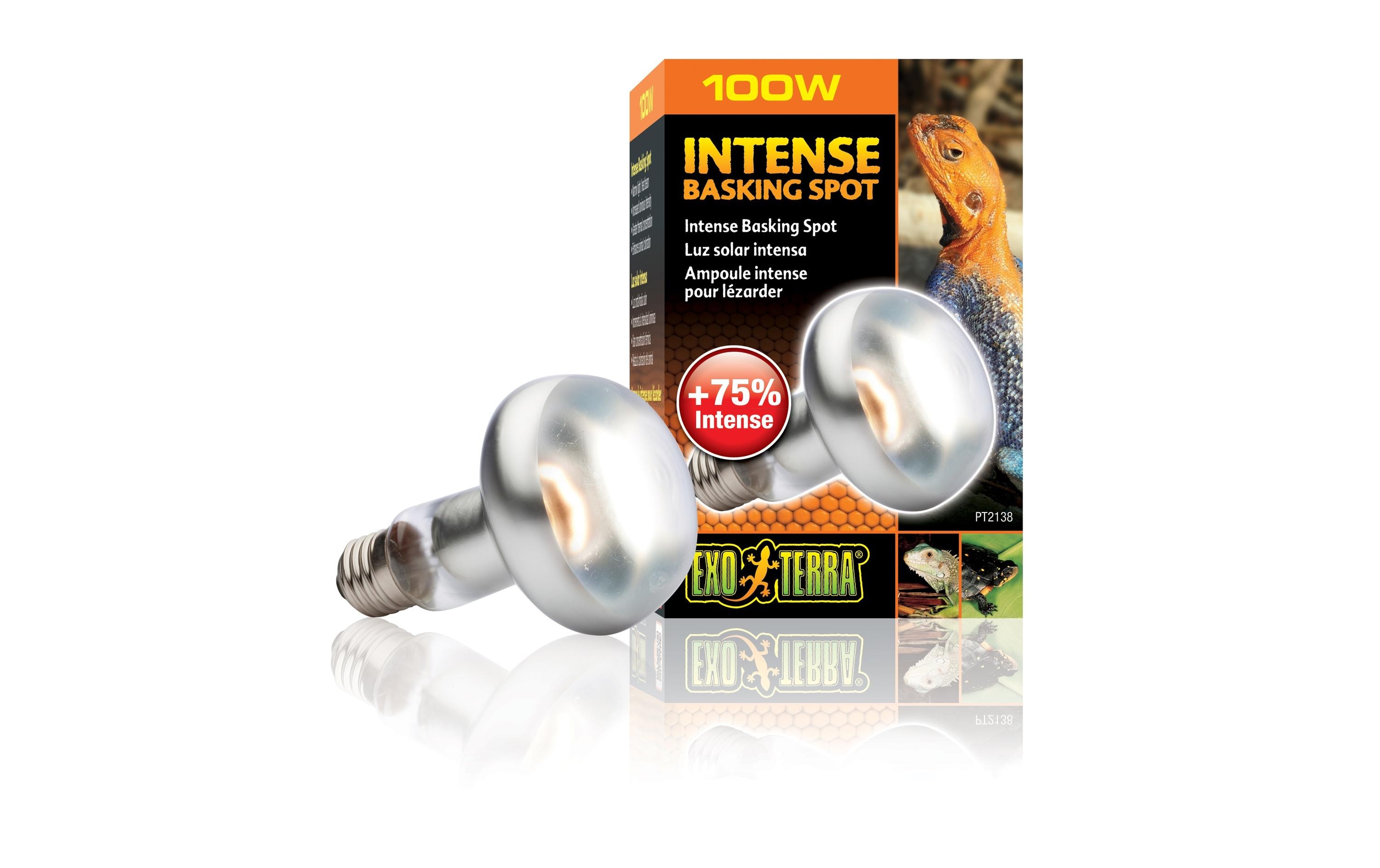 Exo Terra Terrarienlampe Intense Basking Spot E27, R25/100W Exo Terra Terrarienlampe Intense Basking Spot E27, R25/100W