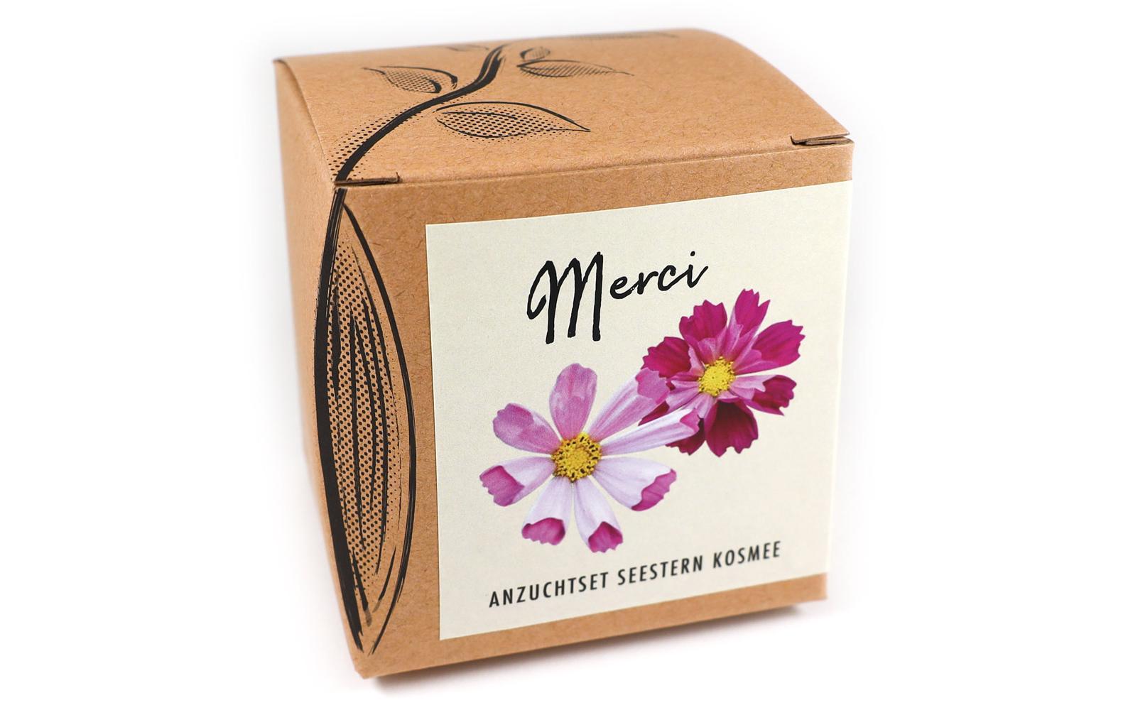 Naturkraftwerk Anzuchtset Merci mit Seestern Kosmee