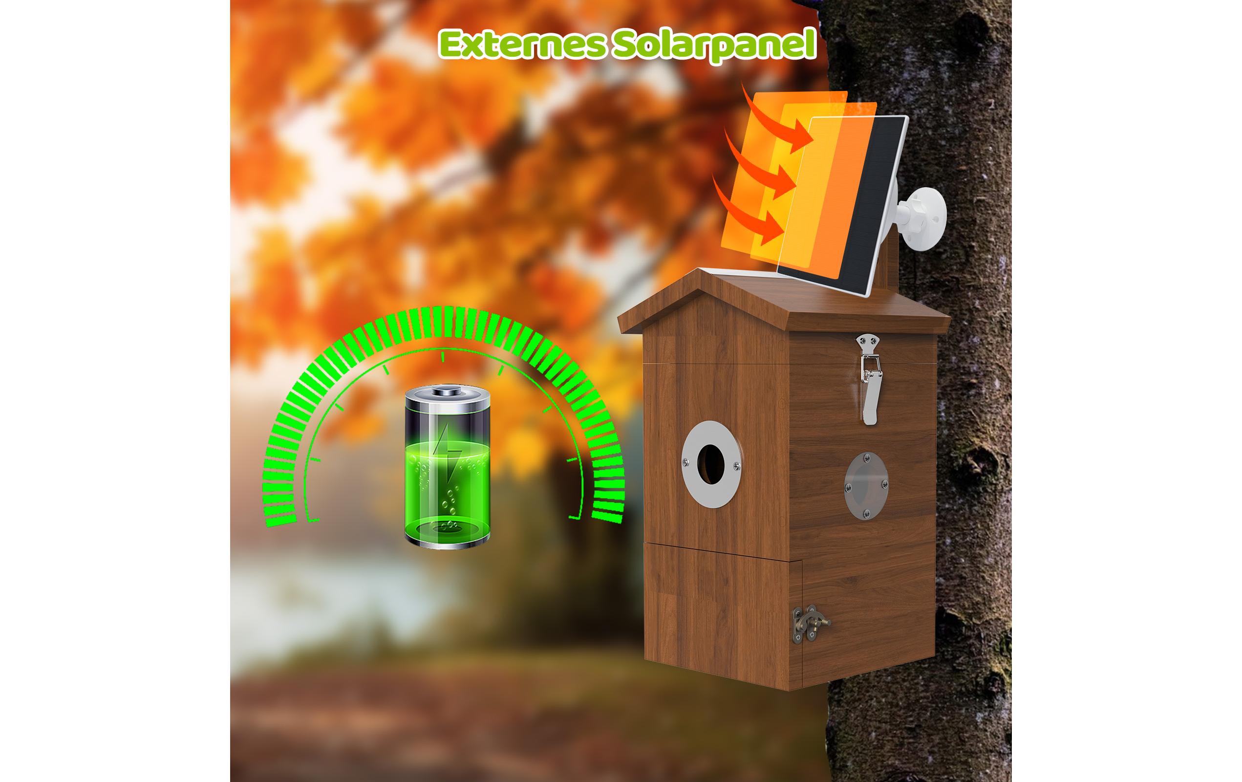 Sanilu Vogel Nistkasten mit Kamera und Solarpanel Sanilu Vogel Nistkasten mit Kamera und Solarpanel