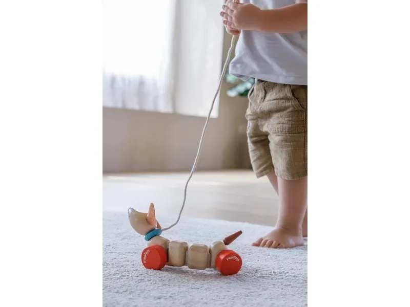 Plantoys Nachzieh-Hündchen aus Kautschukholz