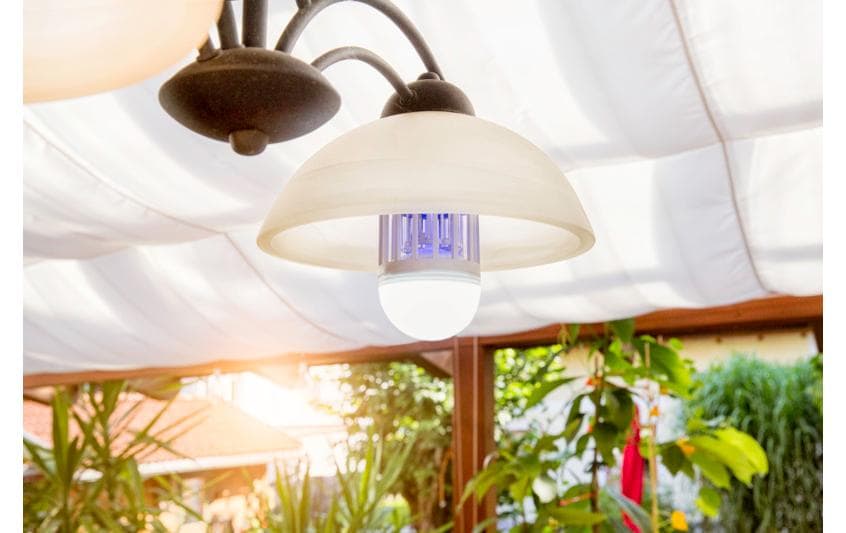 Windhager Lichtfalle-Leuchtmittel 1W/9W