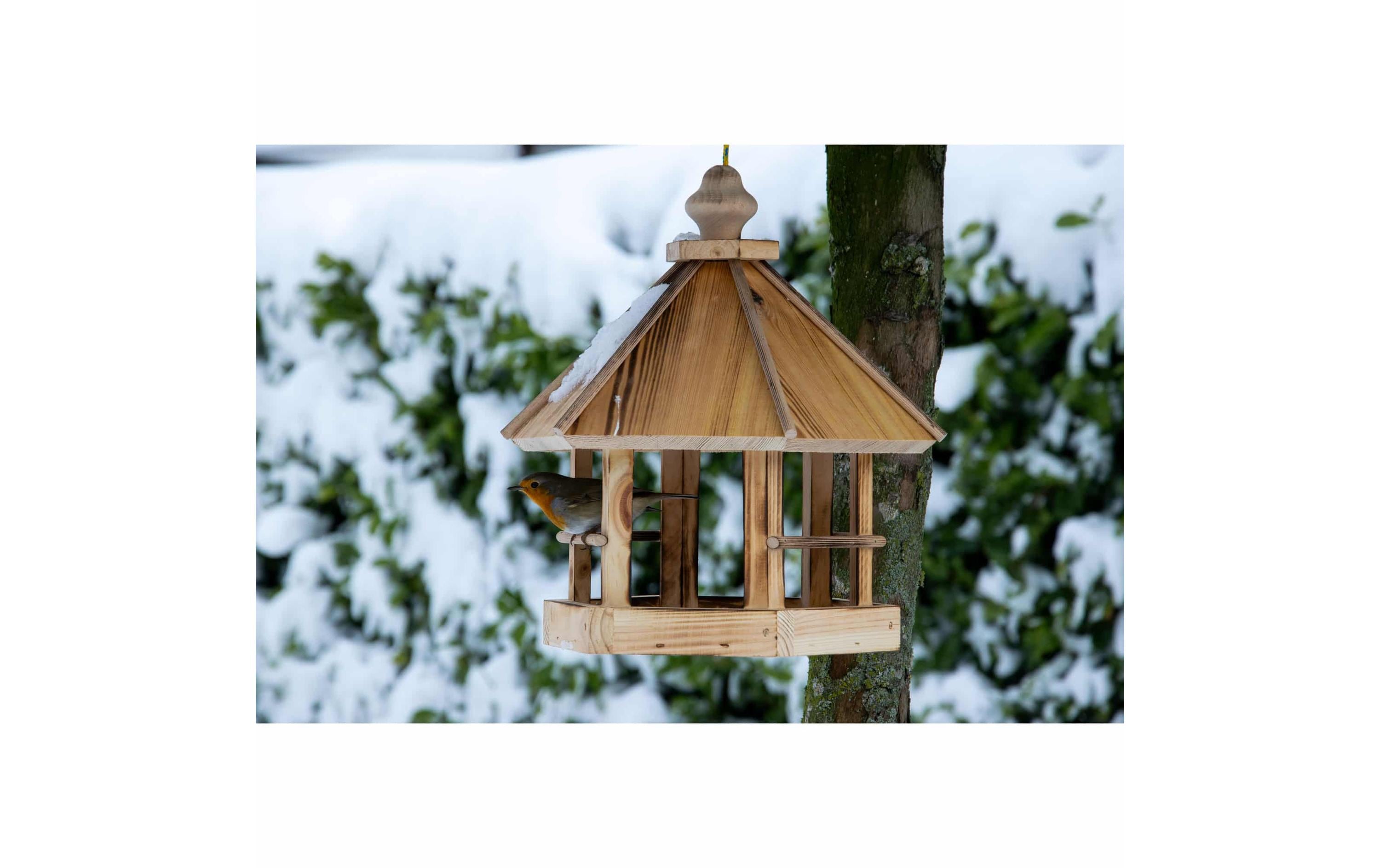 dobar green label Futterspender Caliente zum Aufhängen, 29 x 29 x 34 cm, Holz