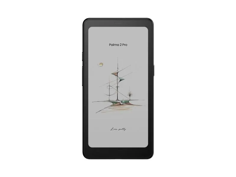 Onyx BOOX Palma2 Pro Schwarz