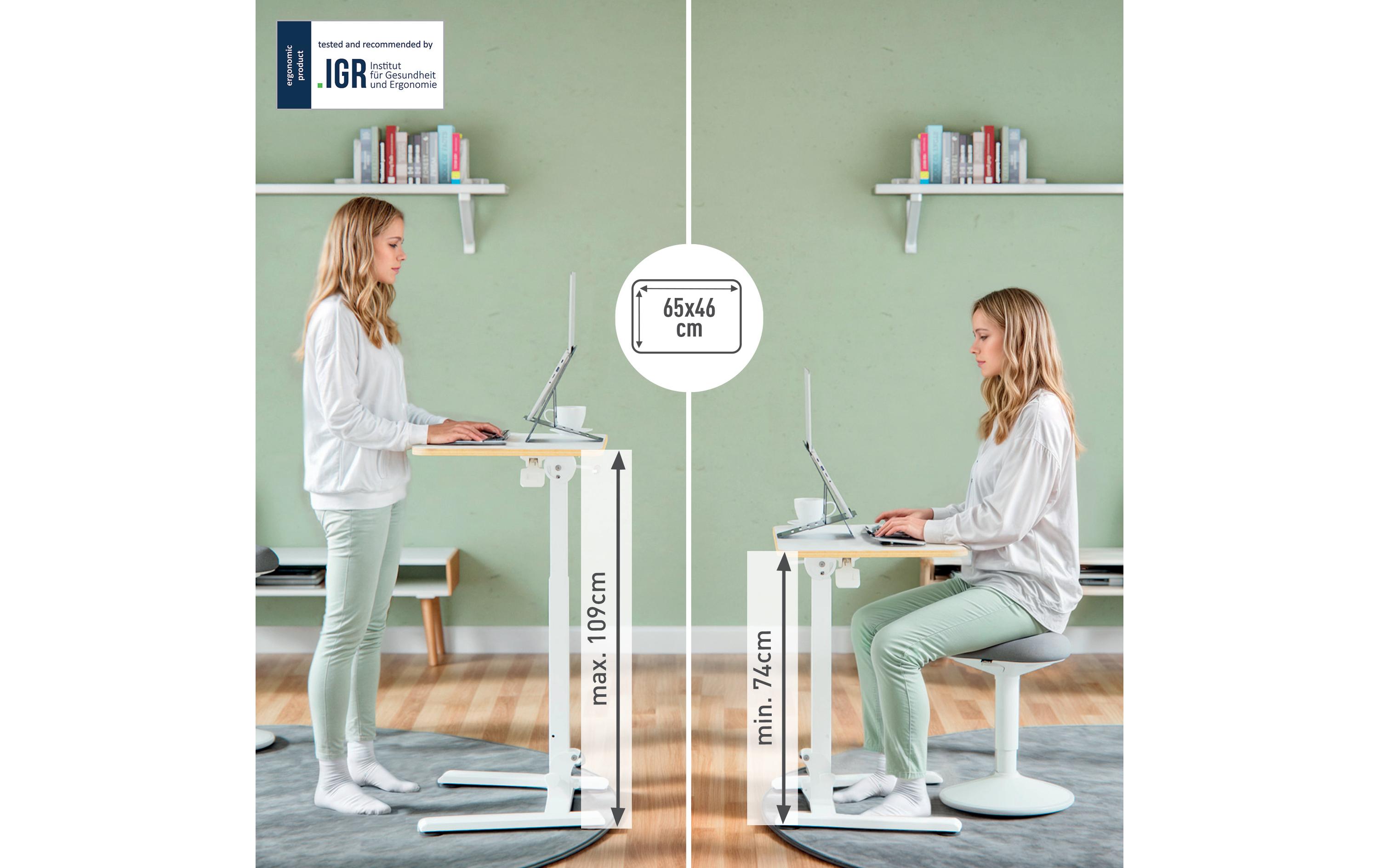 Leitz Stehtisch Ergo höhenverstellbar 65 cm x 46 cm