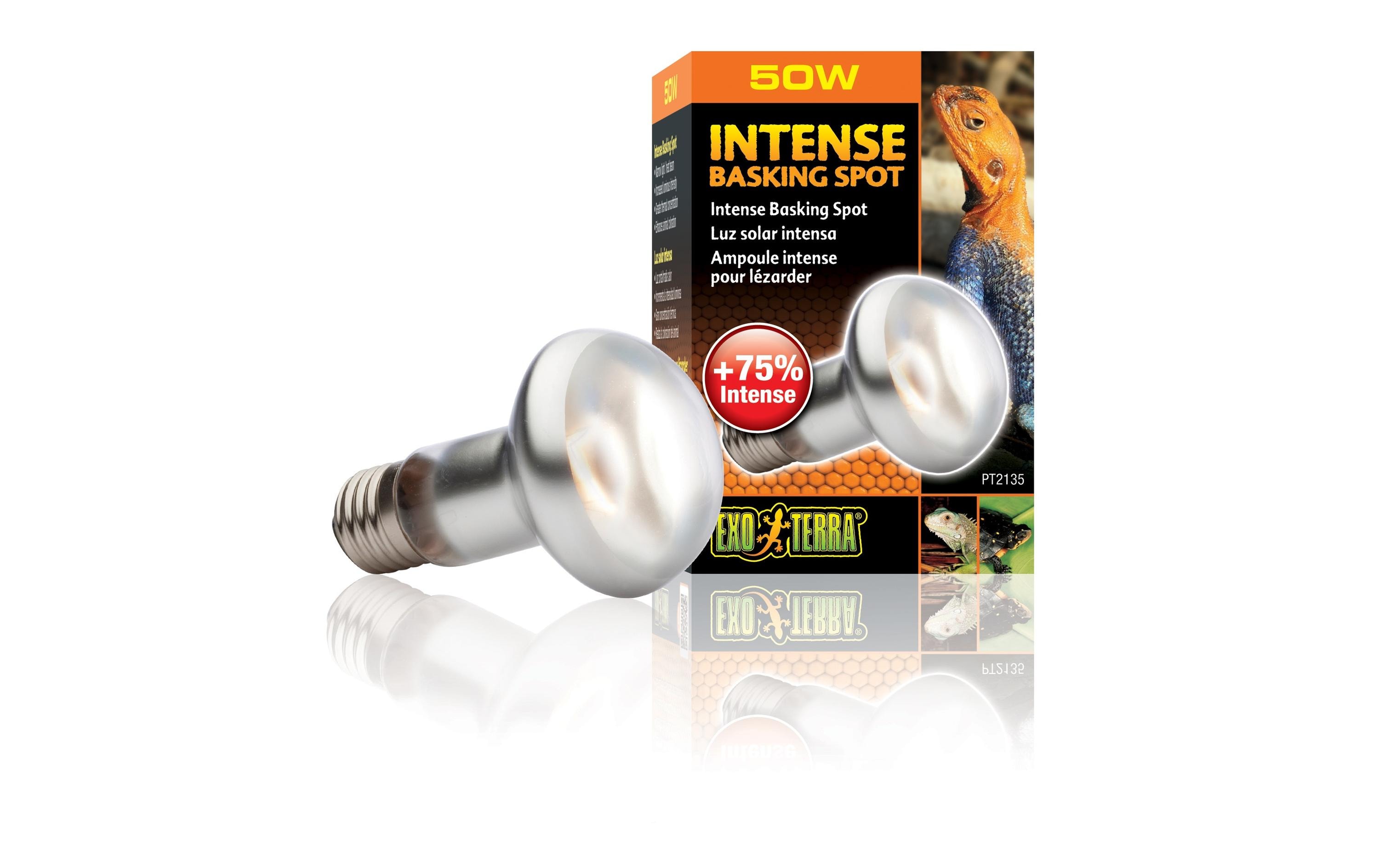 Exo Terra Terrarienlampe Intense Basking Spot E27, R20/50W