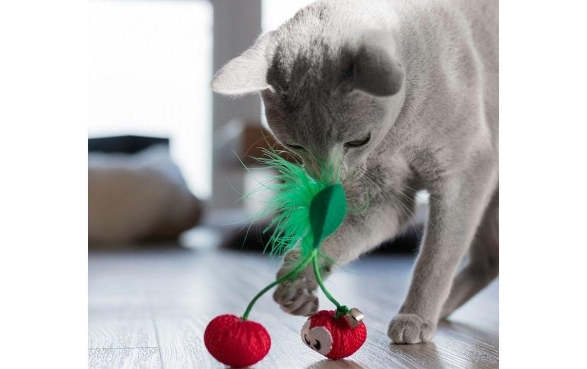 Petstage Katzen-Spielzeug Dental Cherries, Rot Petstage Katzen-Spielzeug Dental Cherries, Rot