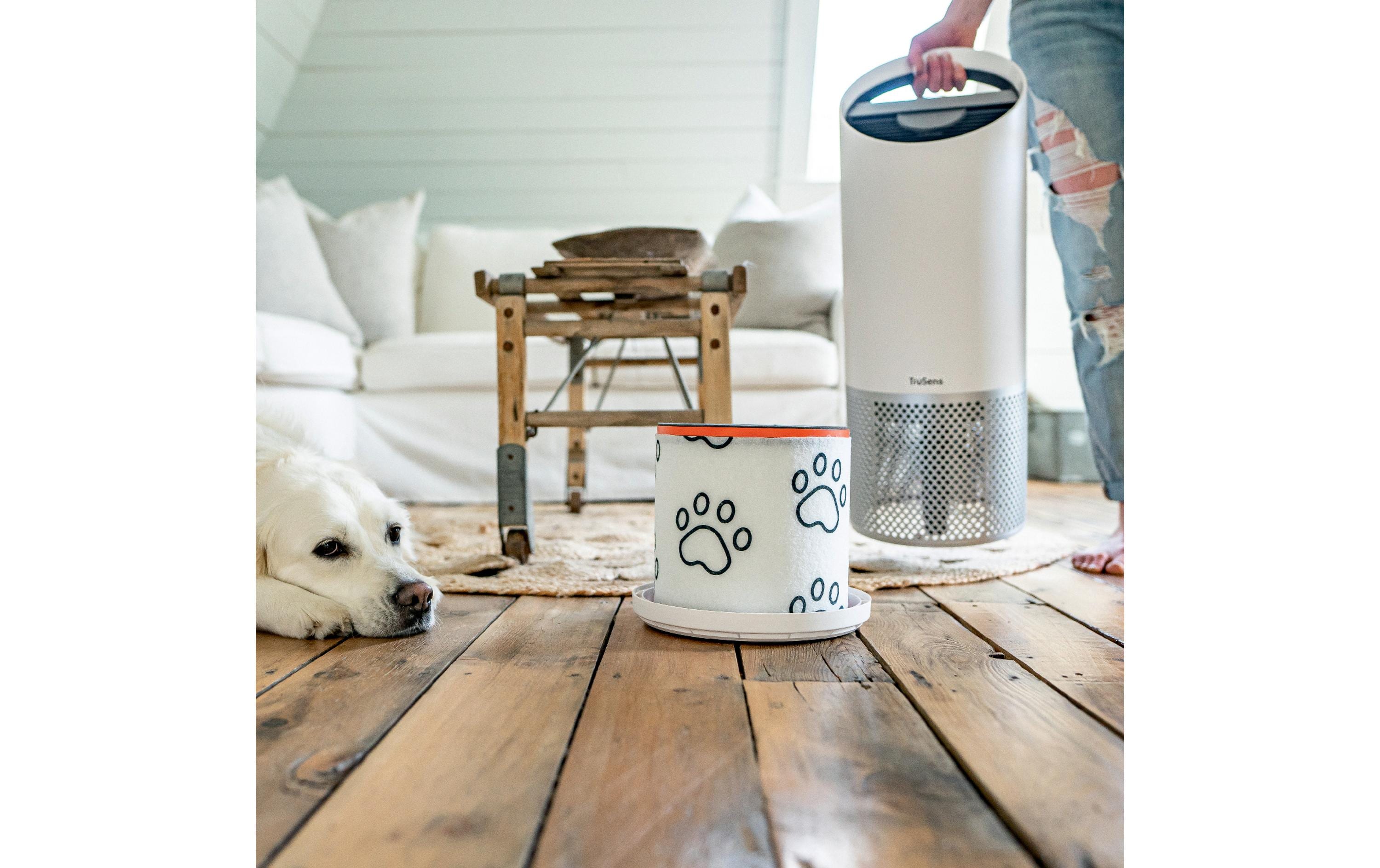 Leitz Trusens Luftfilter TruSens Tier 1 Stück