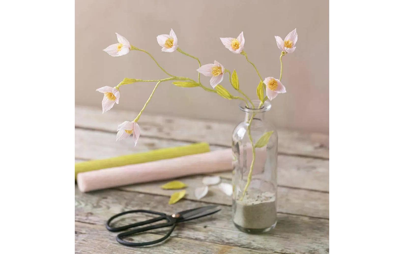 Creativ Company Krepppapier 25 x 60 cm, 3 Rollen, Curry