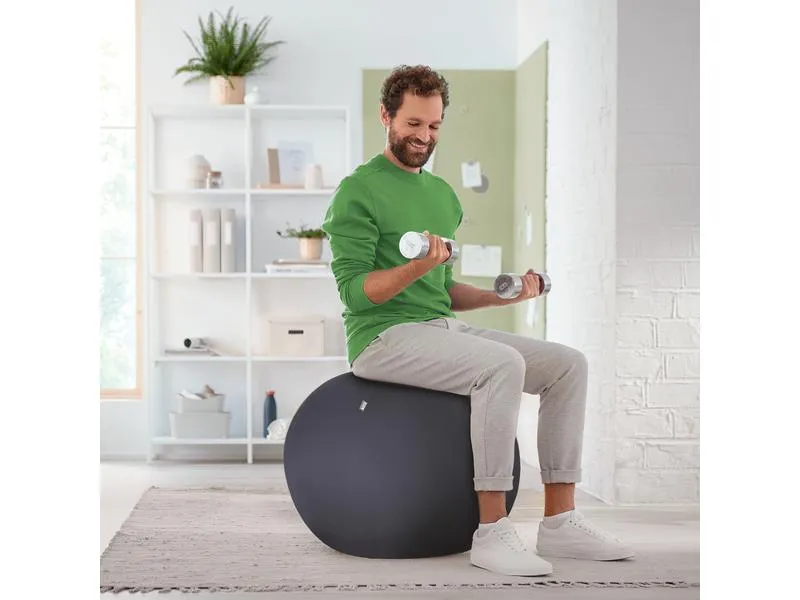 Leitz Sitzball Ergo Active 65 cm
