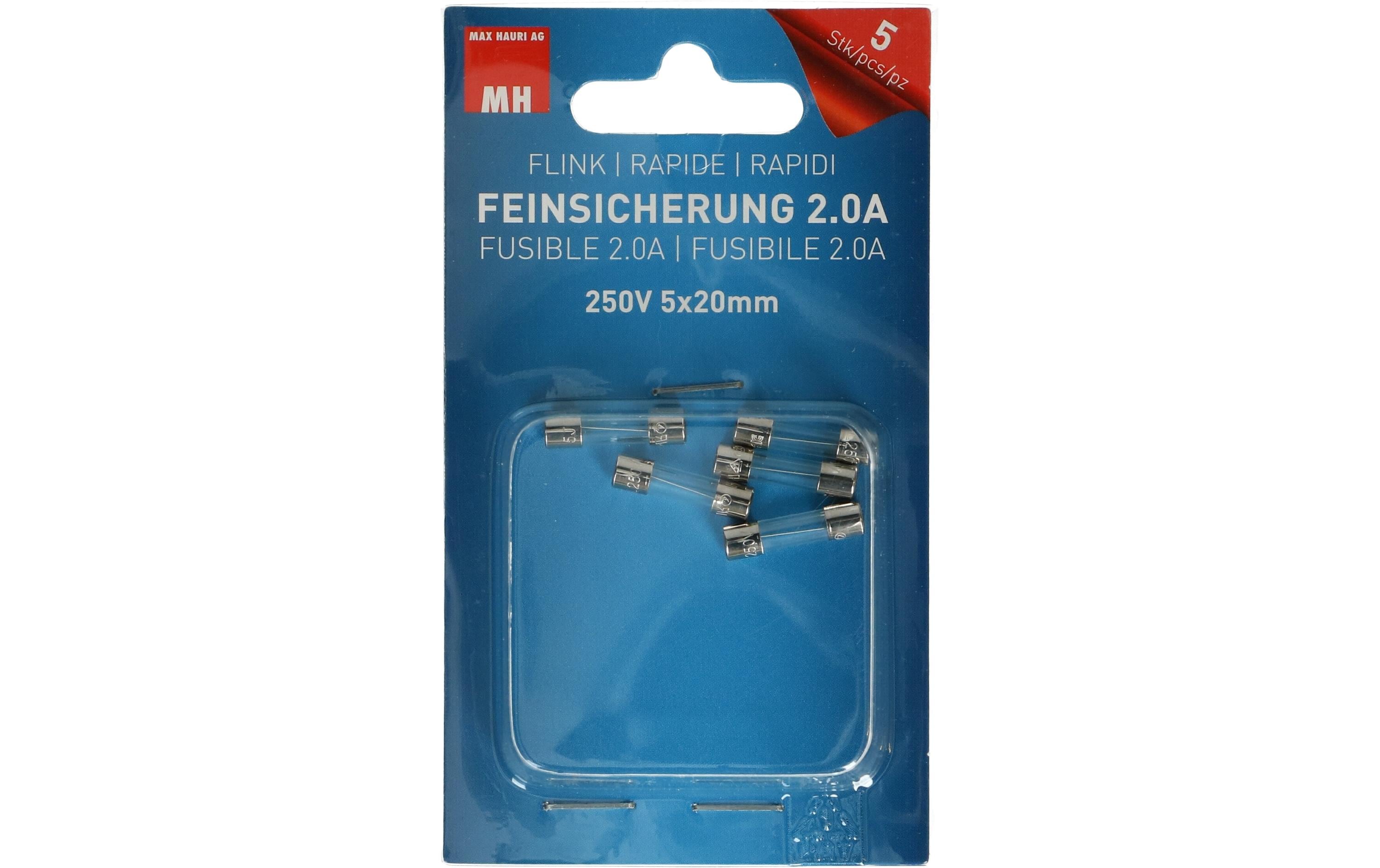 Max Hauri Schmelzsicherung 5 x 20 mm Flink 2 A, 5 Stück Max Hauri Schmelzsicherung 5 x 20 mm Flink 2 A, 5 Stück