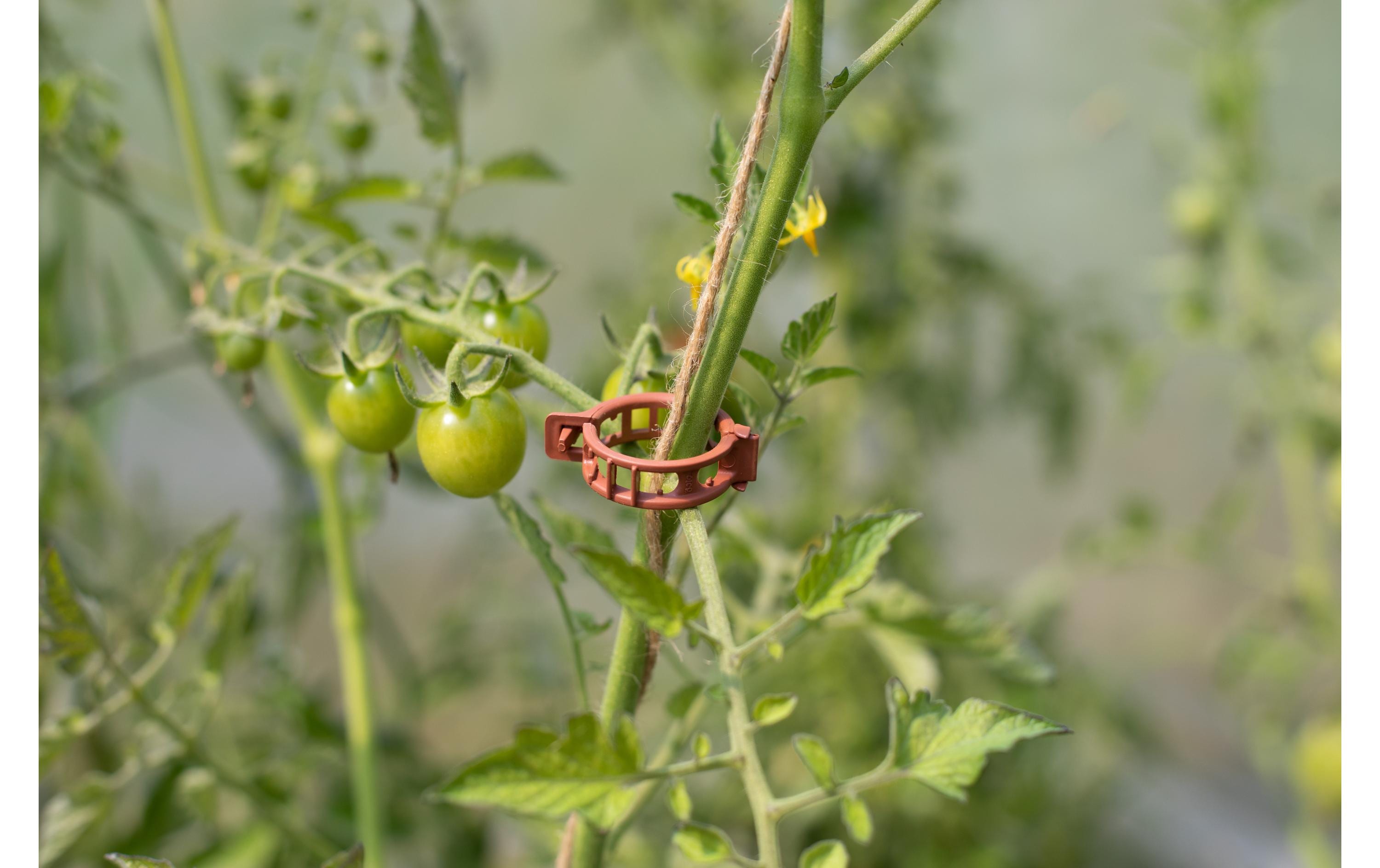 Andermatt Biogarten Befestigungs-Clips Ø 25 mm, 25 Stück
