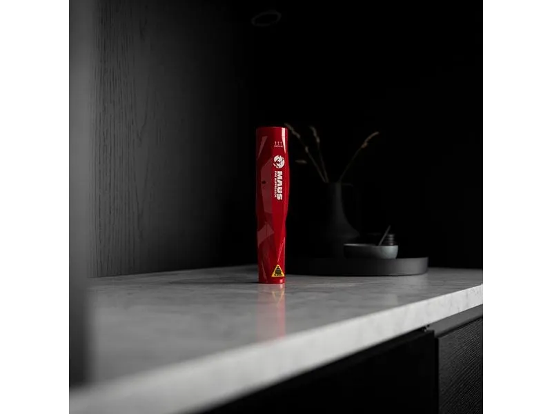 MAUS Switzerland Feuerlöschspray Xtin «Klein» Brandklasse ABCF