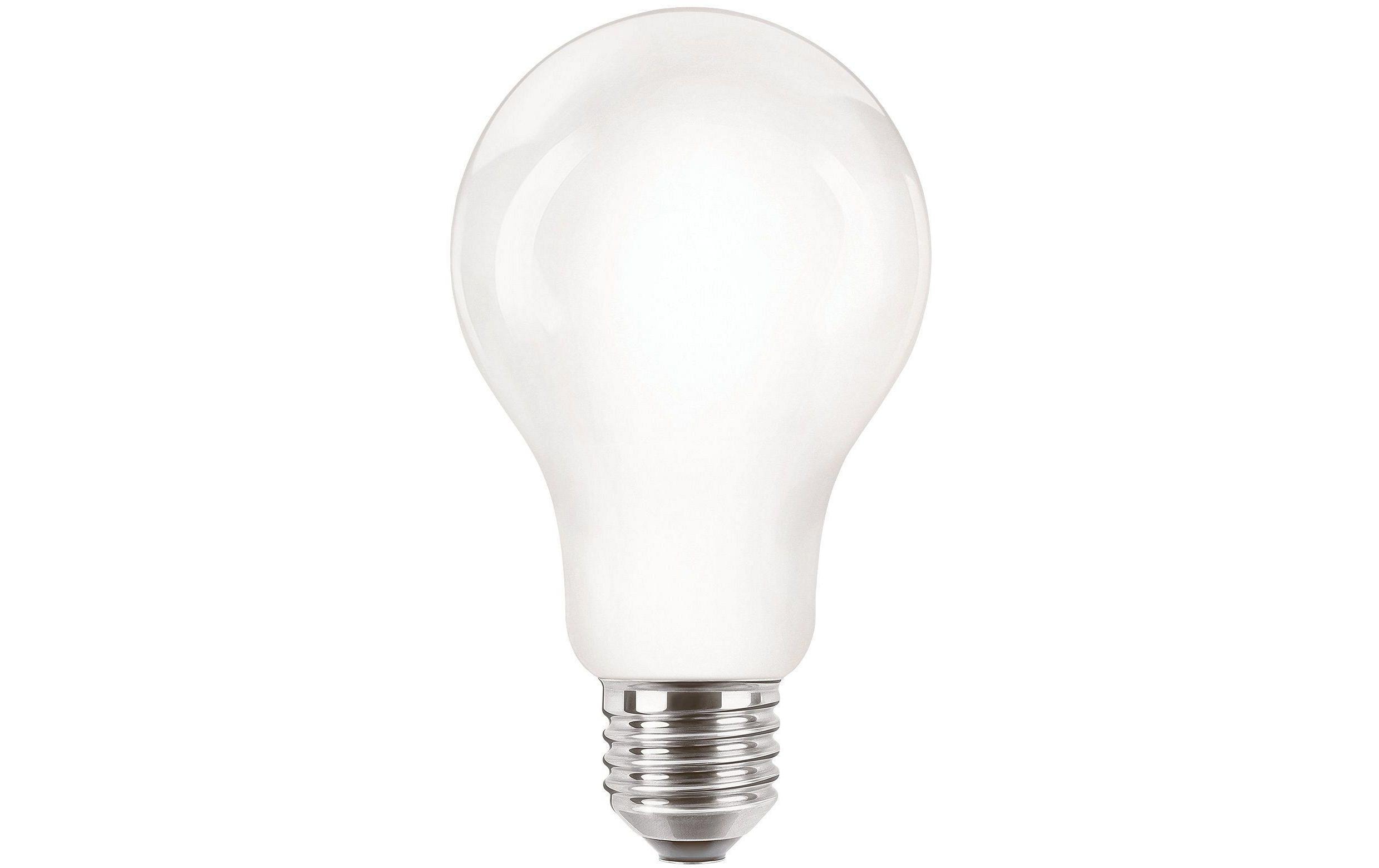 Philips Professional Lampe CorePro LEDBulb ND 120W E27 A67 827 FR G Philips Professional Lampe CorePro LEDBulb ND 120W E27 A67 827 FR G