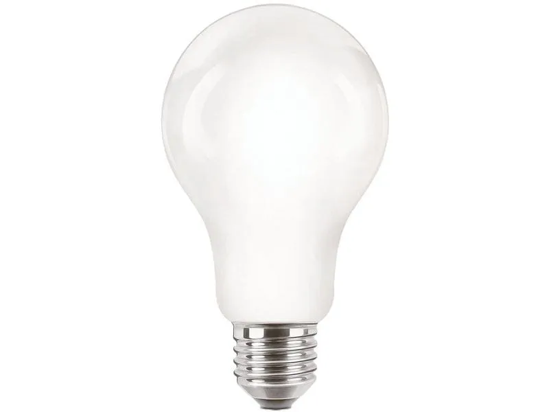 Philips Professional Lampe CorePro LEDBulb ND 120W E27 A67 840 FR G