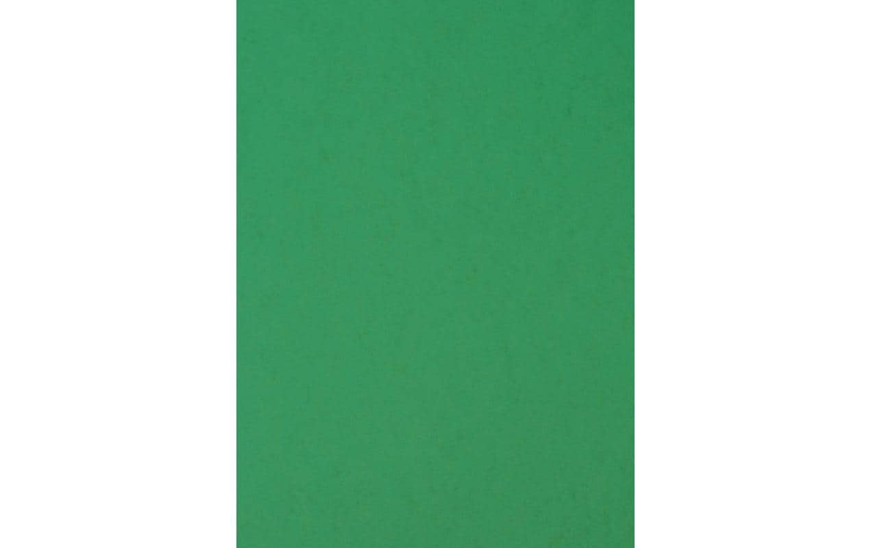CONNECT Einbanddeckel 385 g/m², 50 Stück, Grün