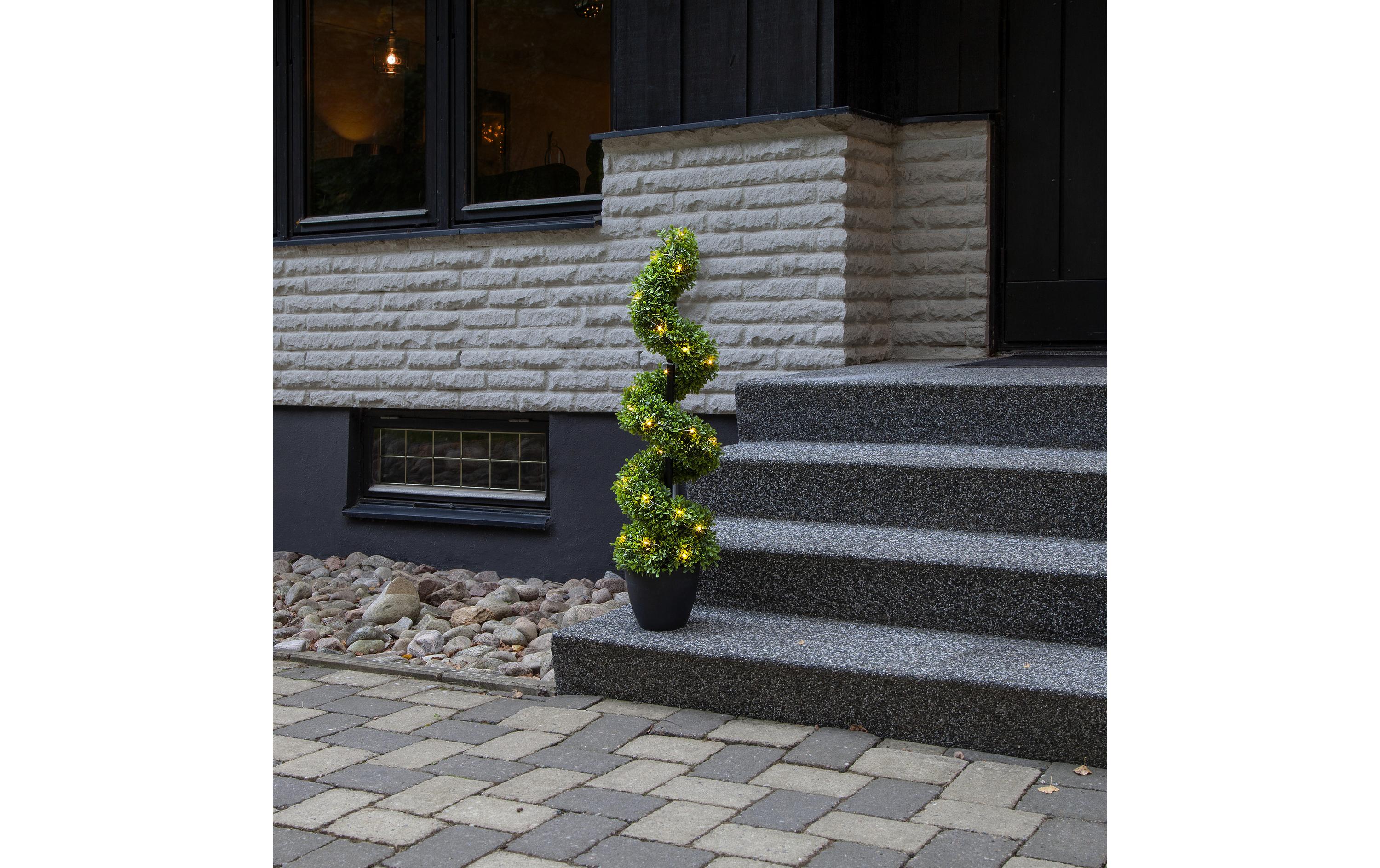 Star Trading Baum Buxbom, 0.9 m, Grün, 30 LED