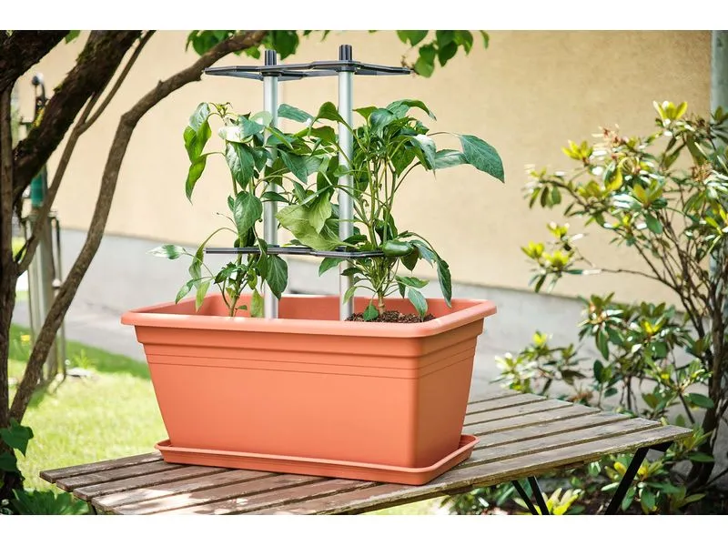 Gusta Garden CHILI BUDDY Rankhilfe für Chilis & Paprika im 3er Set Silber