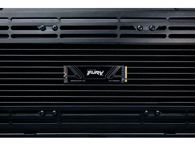 Kingston SSD FURY Renegade M.2 2280, NVMe M.2 NVMe 2048 GB Kingston SSD FURY Renegade M.2 2280, NVMe M.2 NVMe 2048 GB