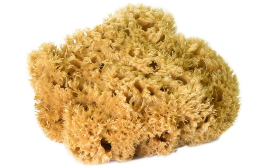 Office Focus Tafelwischer für die trockene Tafelreinigung 1 Stück Office Focus Tafelwischer für die trockene Tafelreinigung 1 Stück