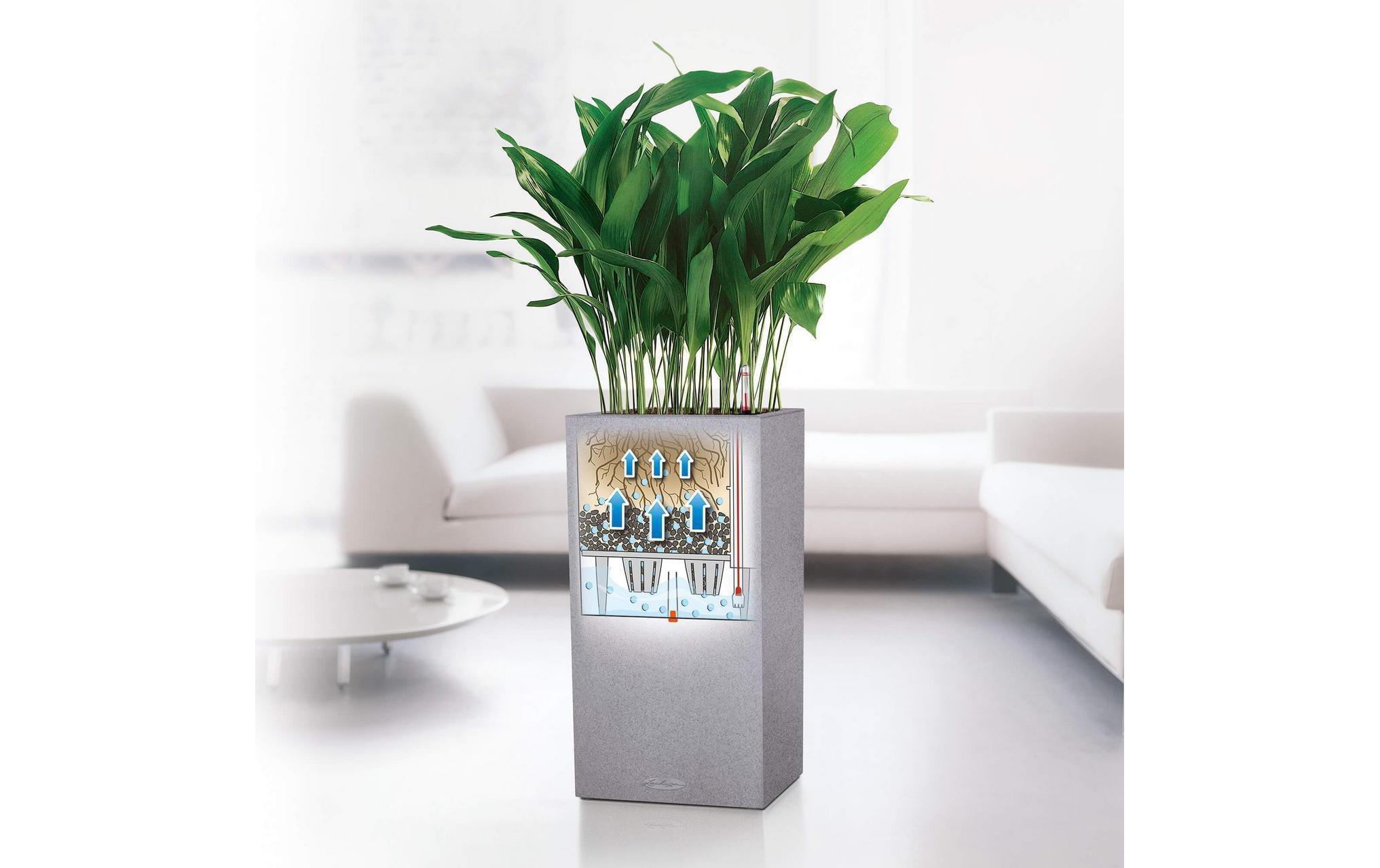 Lechuza Pflanzentopf Canto Color High Grau