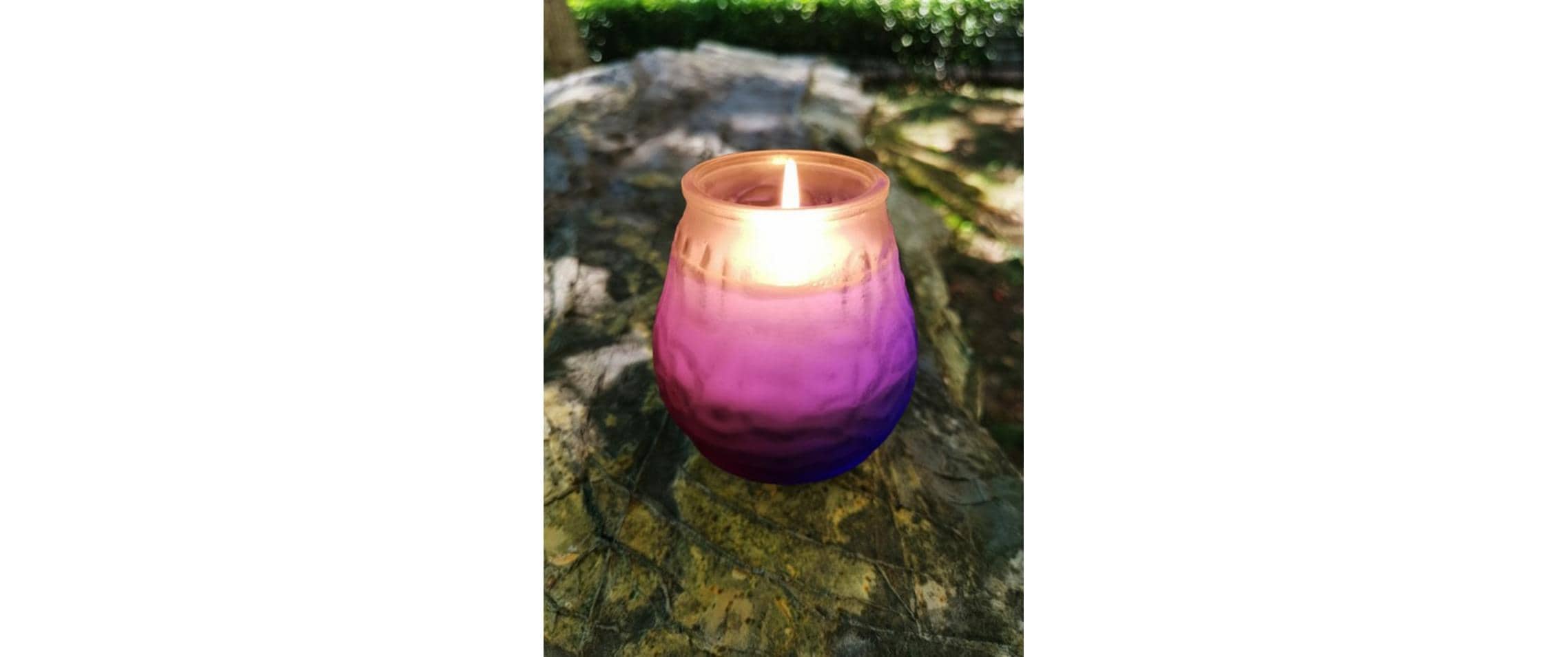 Dameco Citronella Kerze 198 g