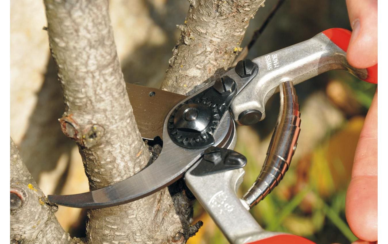 Felco Gartenschere 13