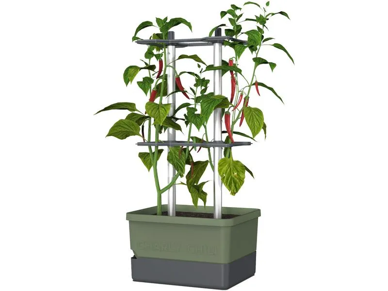 Gusta Garden Pflanzentopf CHARLY CHILI Starterset, Dunkelgrün Gusta Garden Pflanzentopf CHARLY CHILI Starterset, Dunkelgrün