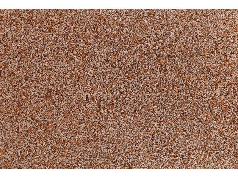 Vitana Hunde-Nahrungsergänzung Indische Flohsamen, 150 g Vitana Hunde-Nahrungsergänzung Indische Flohsamen, 150 g