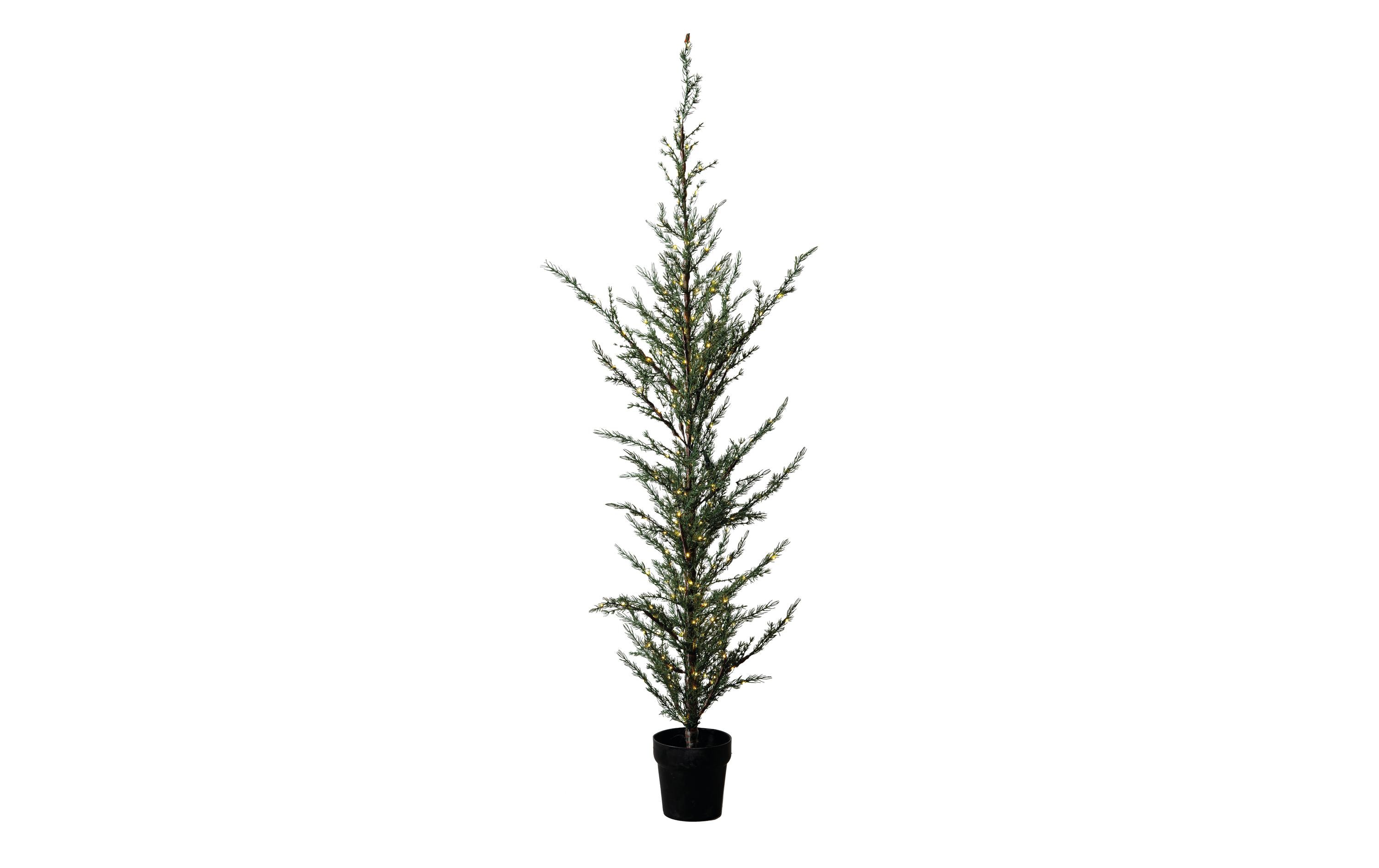 Sirius Weihnachtsbaum Milas, 180 cm, 180 LEDs, Grün