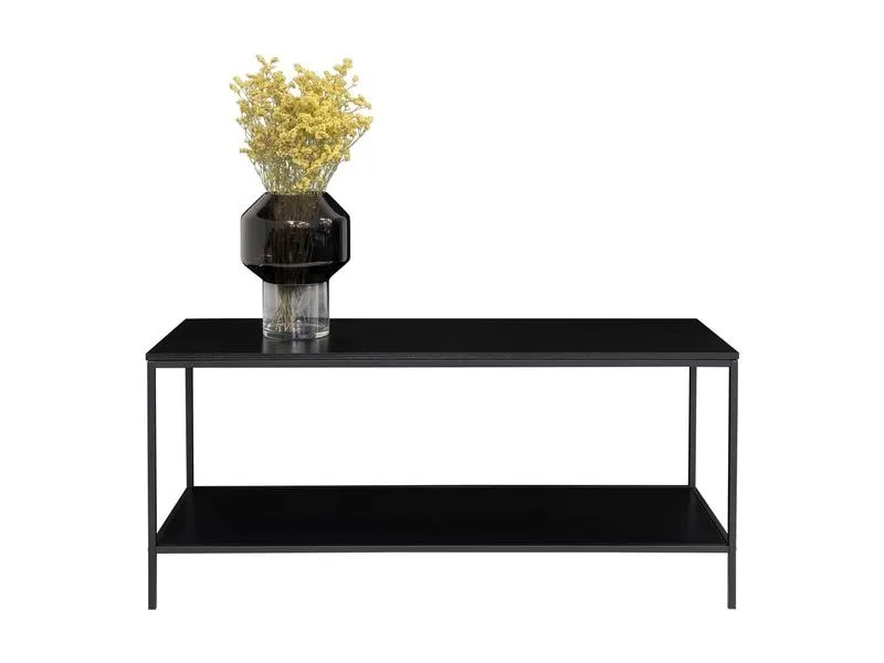 House Nordic TV-Möbel Vita 36 x 100 cm, Schwarz