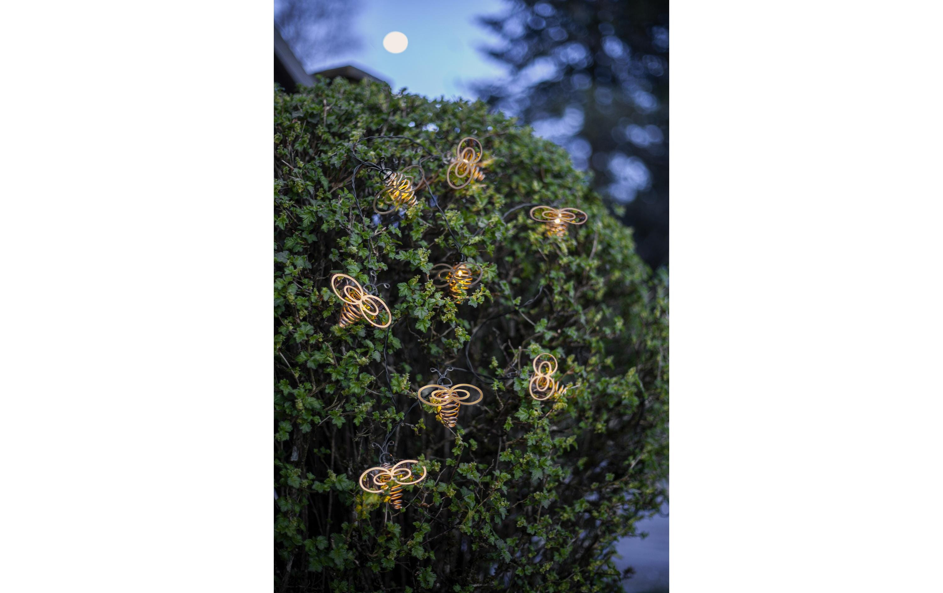 Star Trading Lichterkette Solar Wings, Warmweiss, 8 LED