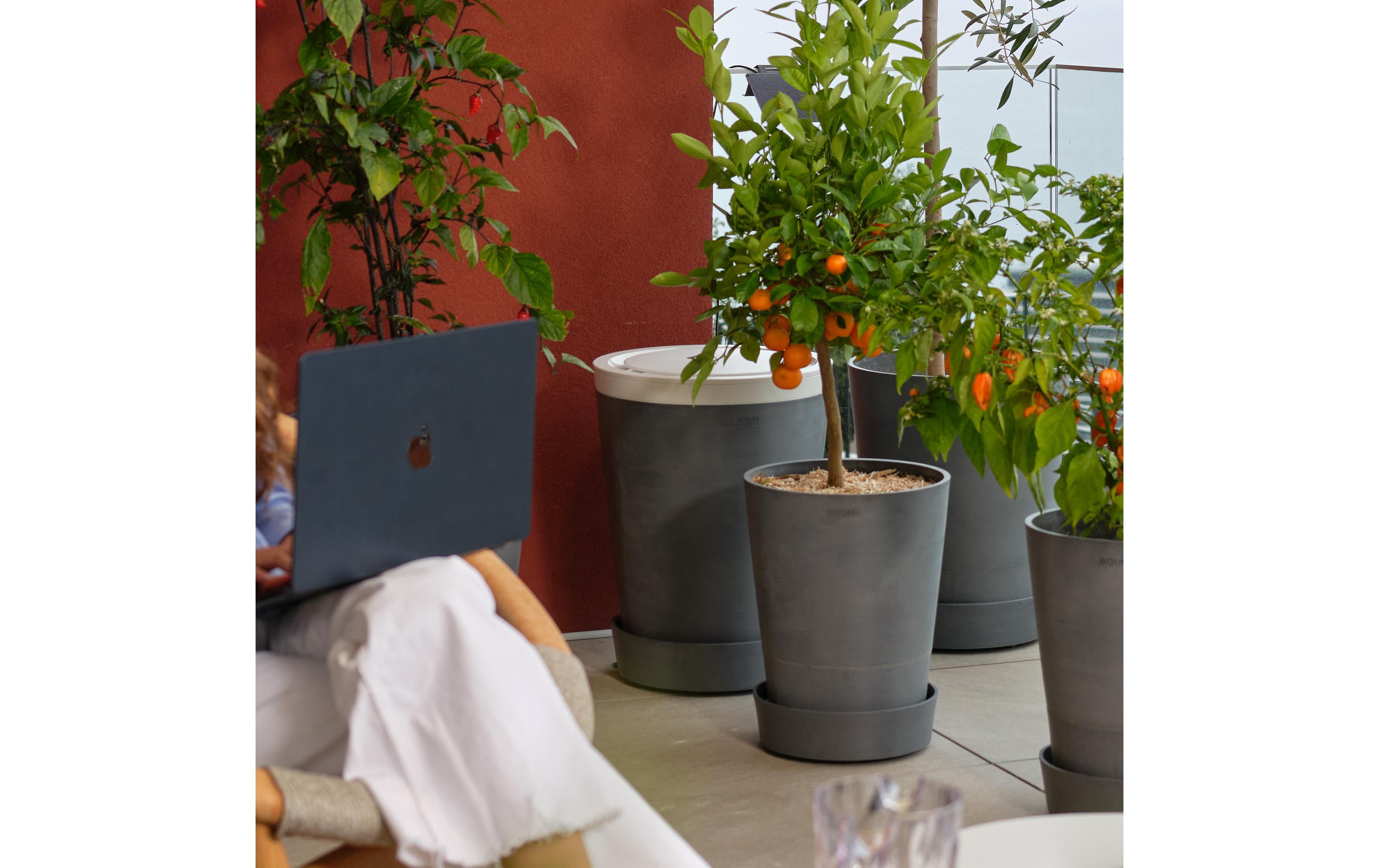 Boum 3 Steuerung und Wassertank Braun