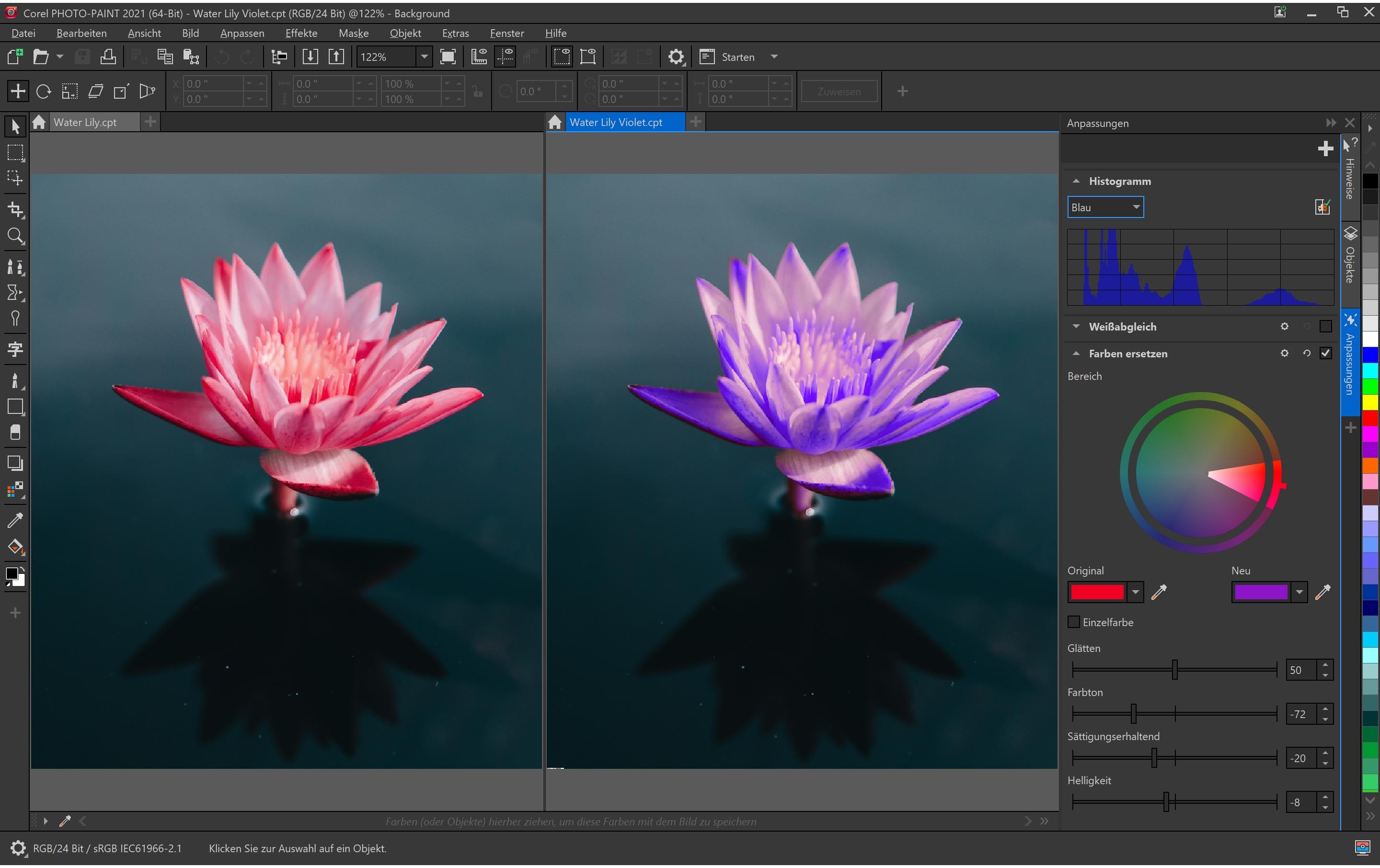 Corel CorelDraw Graphics Suite Agnostic Box, ABO, 1yr, Win/Mac, DE