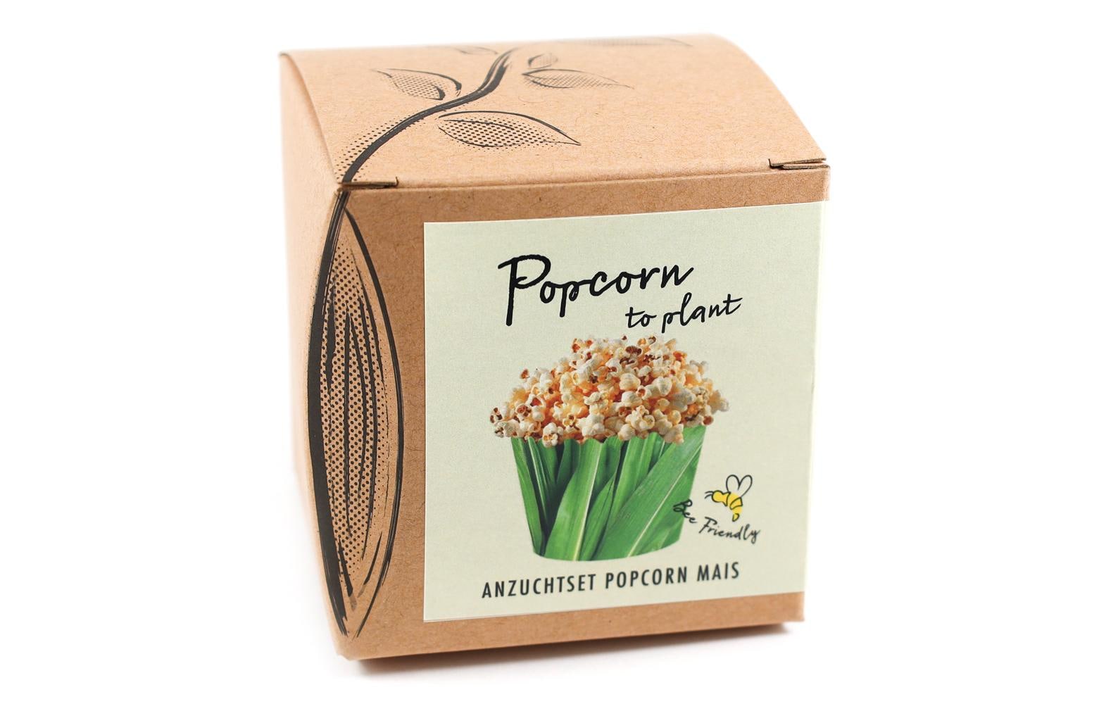 Naturkraftwerk Anzuchtset Popcorn-to-Plant mit Popcorn Mais