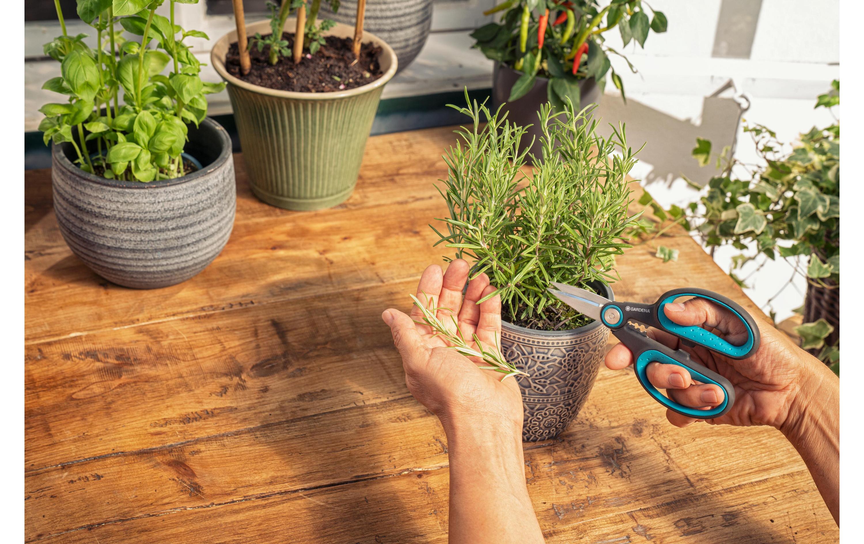 GARDENA Gartenschere HerbCut