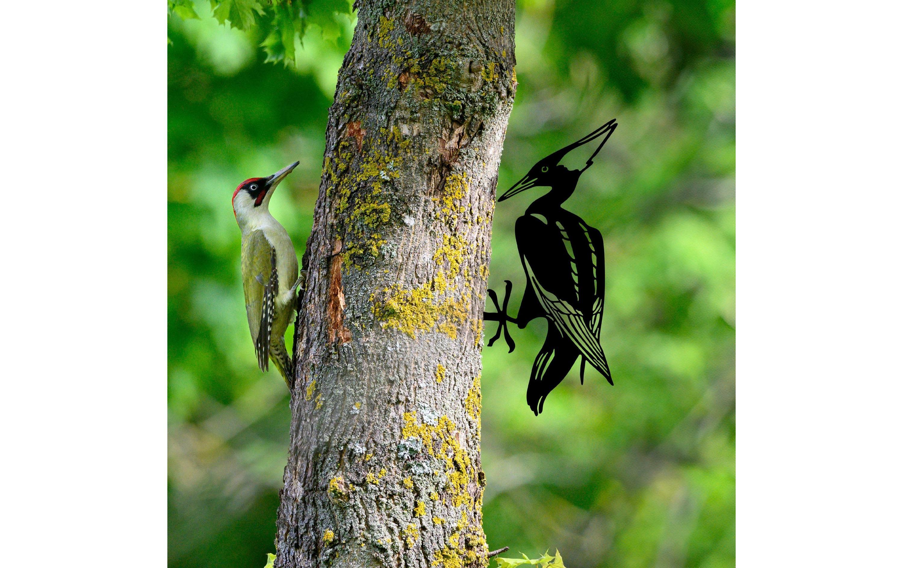 Wallxpert Gartenstecker Vogel auf Zweig 22 x 40 cm