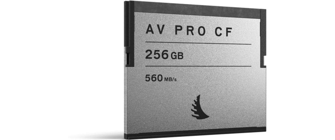 Angelbird CFexpress-Karte AV PRO CF XT 256 GB
