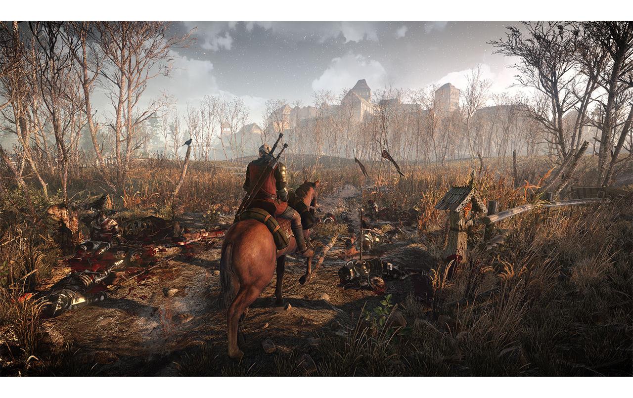 Bandai Namco The Witcher 3: Wild Hunt