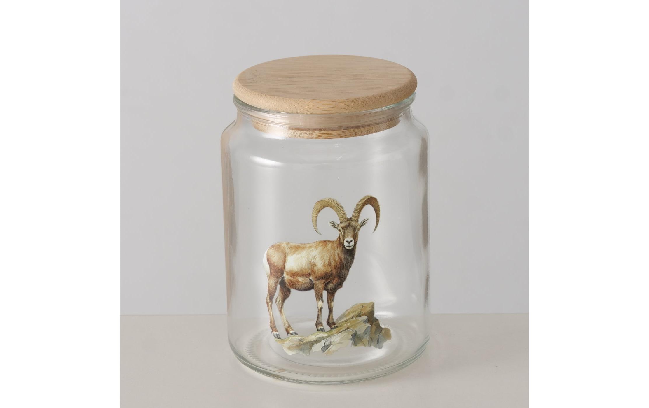 Boltze Vorratsglas Poldie 650 ml