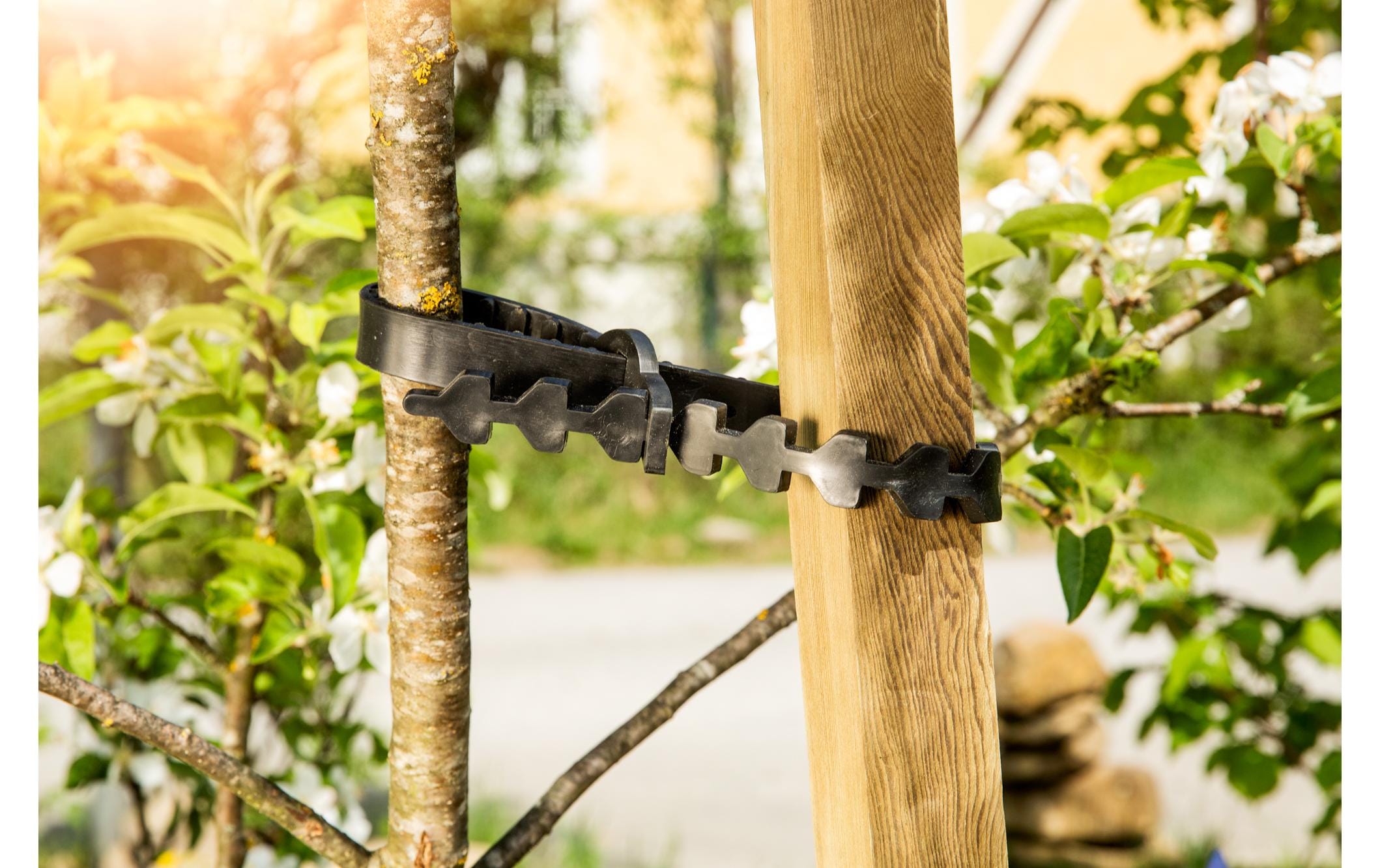 Windhager Gummi-Baumanbinder, 2 Stück Windhager Gummi-Baumanbinder, 2 Stück