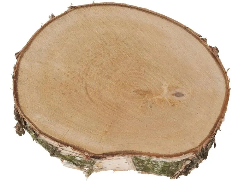 Opiflor Holzscheiben rund, 20-30 cm x 3.5 cm Opiflor Holzscheiben rund, 20-30 cm x 3.5 cm